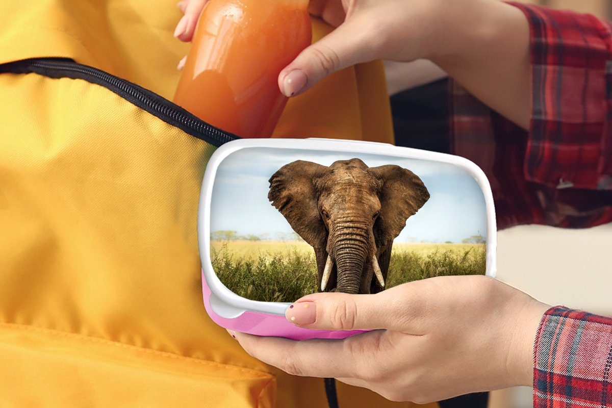 MuchoWow Lunchbox Elefant - Gras Kinder, Mädchen, Brotbox für Kunststoff - Tiere - Kunststoff, rosa Snackbox, Erwachsene, Brotdose Natur, (2-tlg)