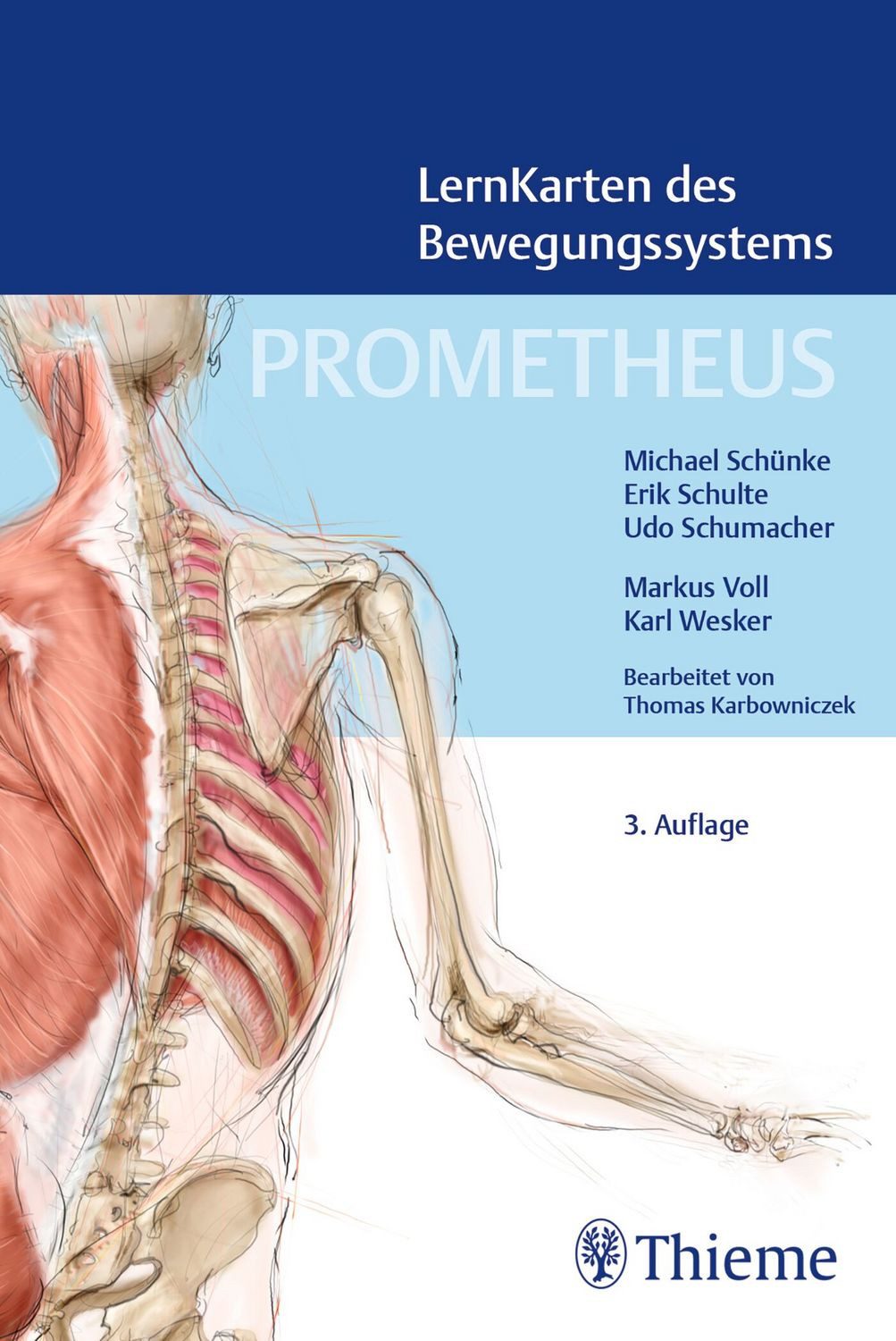 PROMETHEUS LernKarten des Bewegungssystems / Michael Schuenke, Erik Schulte, Udo Schumacher