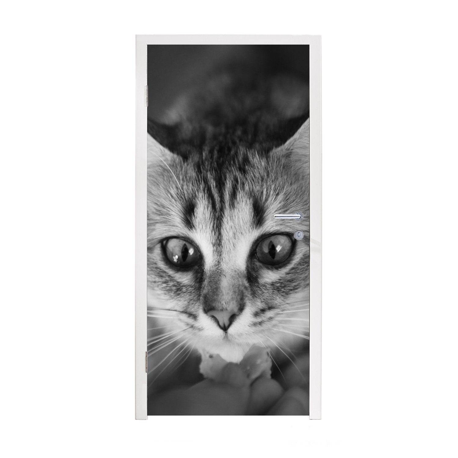MuchoWow Türtapete Tierprofil riechende Katze in schwarz und weiß, Matt, bedruckt, (1 St), Fototapete für Tür, Türaufkleber, 75x205 cm