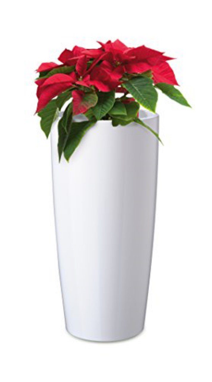 mit herausnehmbarem “Teramo” K. Blumentopf Einsatz Pflanztopf e. Floralo hochglänzend, weiß rund,
