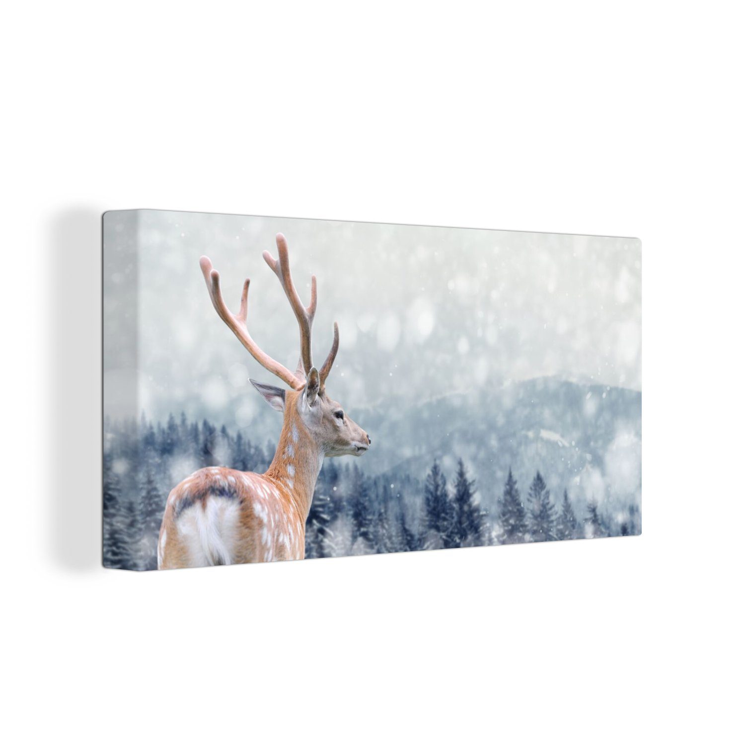 OneMillionCanvasses® Leinwandbild Panorama Winter - Hirsche - Tiere, Fotodr günstig online kaufen