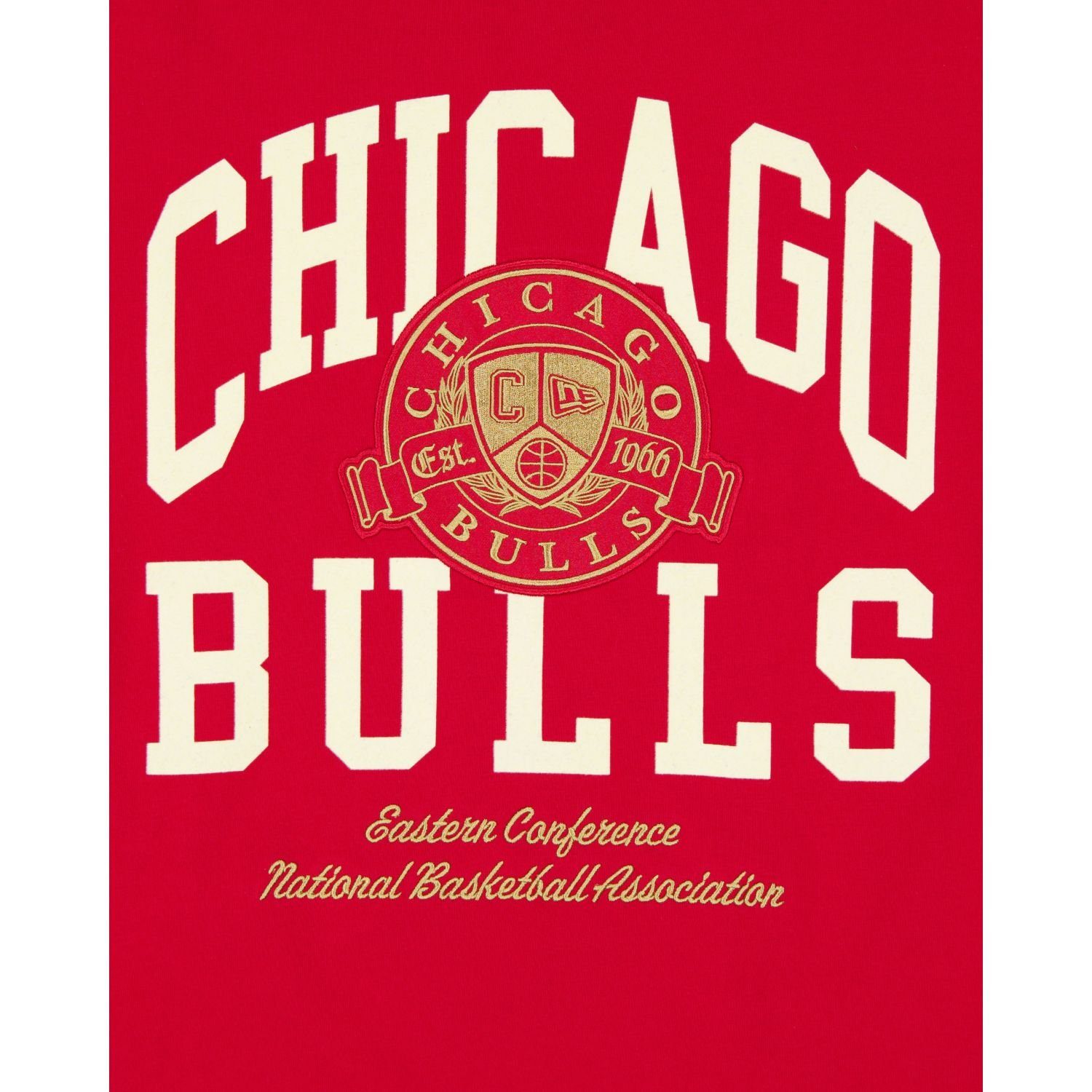 Print-Shirt New Bulls LETTERMAN NFL Chicago Era