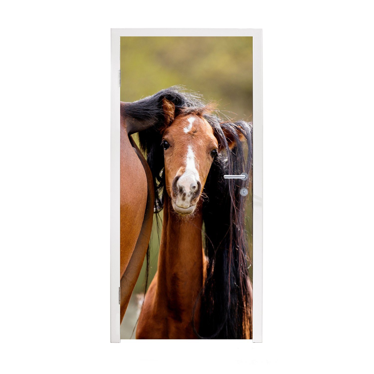 MuchoWow Türtapete Pferde Braun, - Natur St), 75x205 für Fototapete Matt, cm Tür, bedruckt, Türaufkleber, (1 