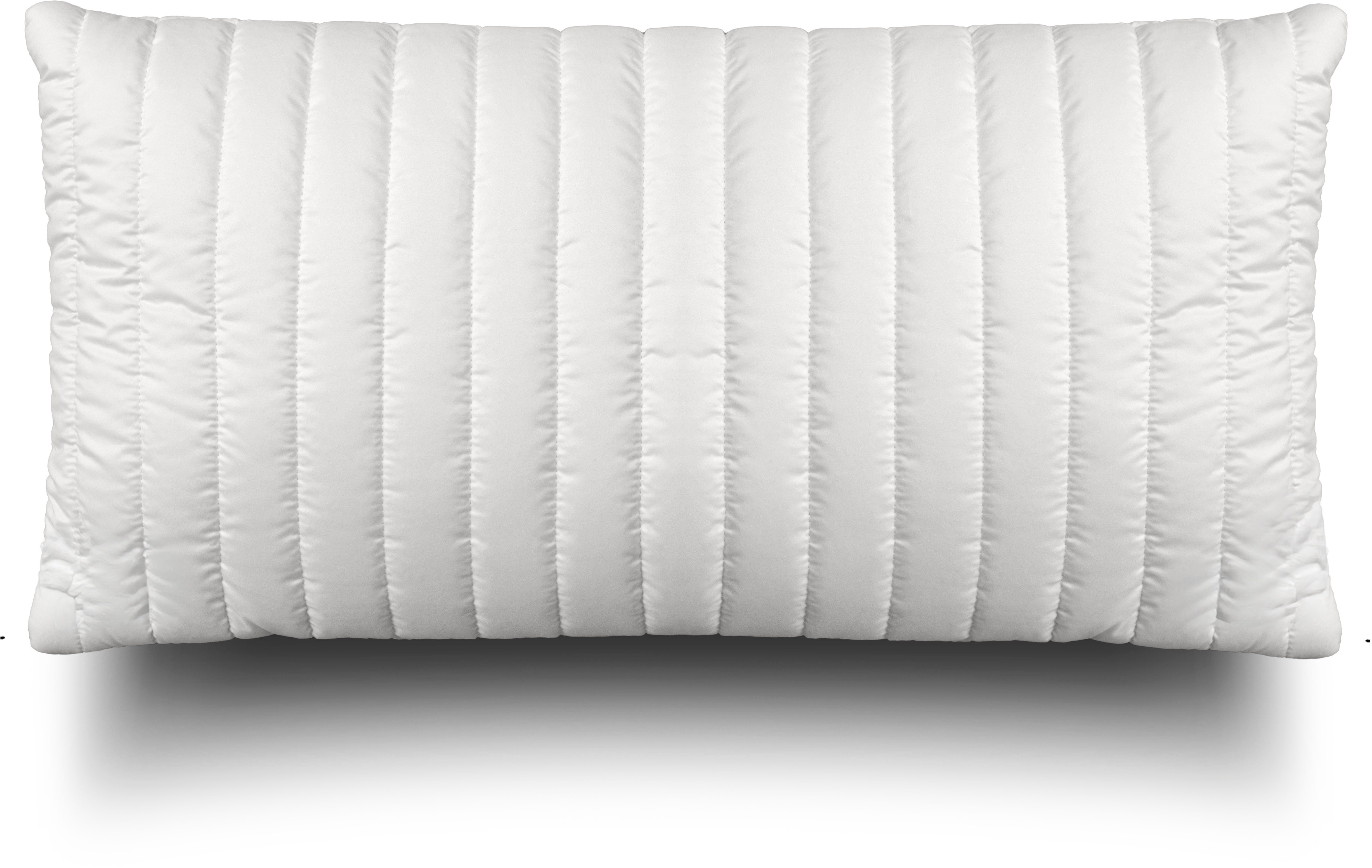 John Cotton Baumwollkissen Magicline 40x80, 80x80 günstig online kaufen
