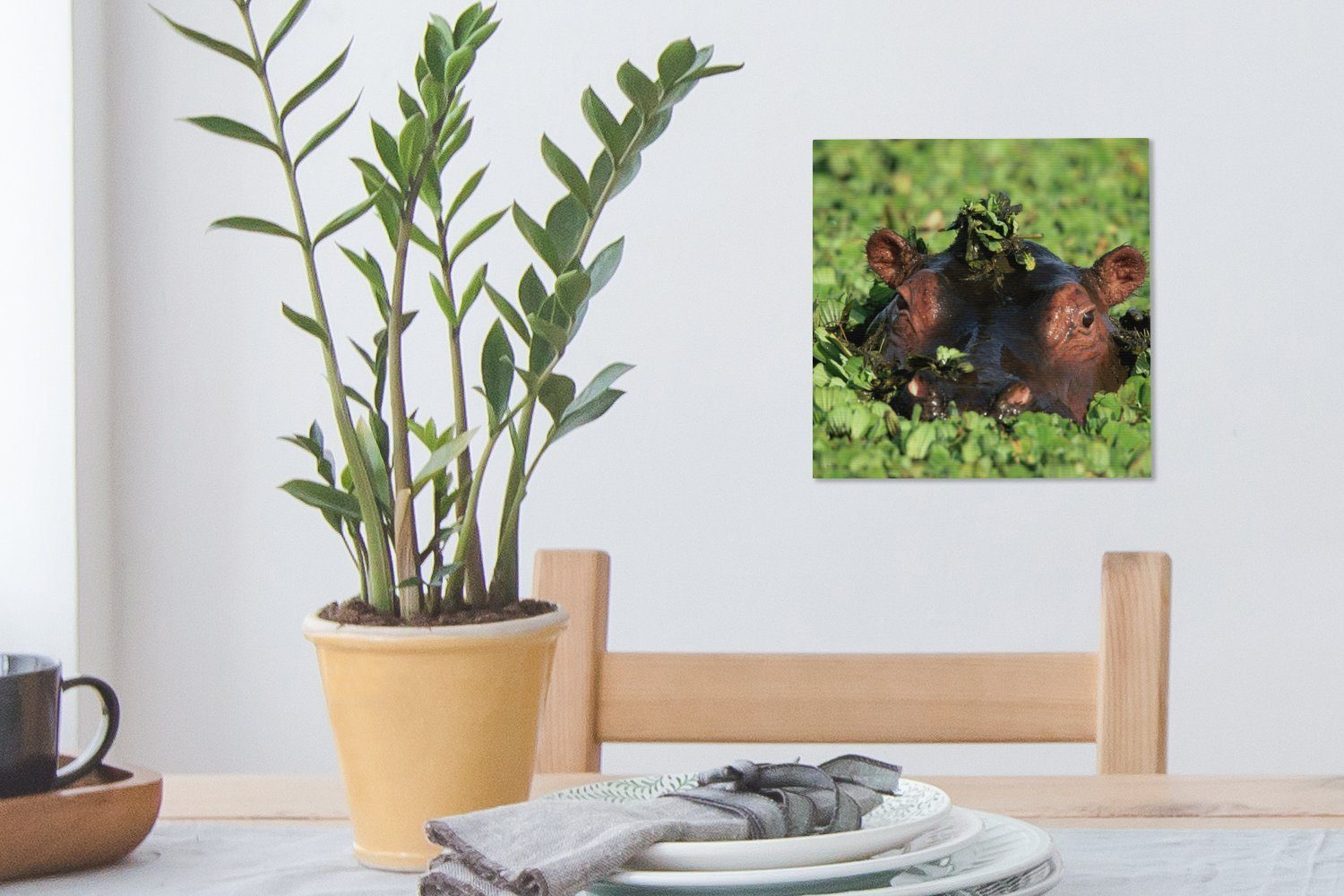 St), Bilder - (1 Pflanzen, Leinwand Wasser - Wohnzimmer Nilpferd OneMillionCanvasses® Leinwandbild für Schlafzimmer