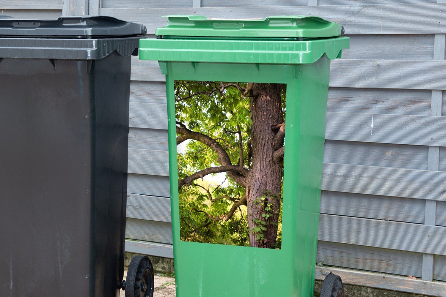 Mülleimer-aufkleber, Wandsticker Frühling (1 St), Abfalbehälter im Sticker, Kastanienbaum MuchoWow Mülltonne, Container,