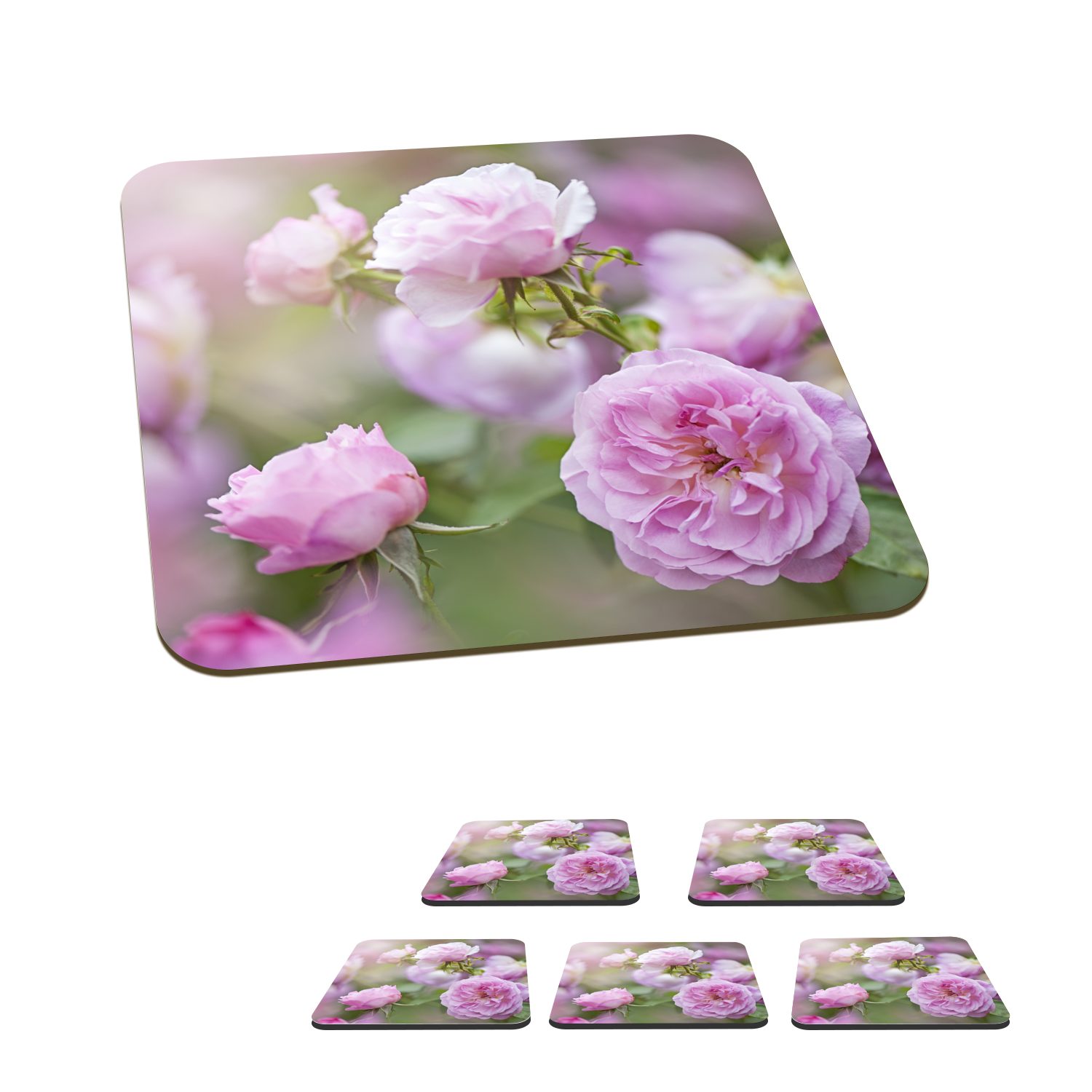 MuchoWow Glasuntersetzer Pflanzen von rosa Rosen wachsen in der Natur, Zubehör für Gläser, 6-tlg., Glasuntersetzer, Tischuntersetzer, Korkuntersetzer, Untersetzer, Tasse