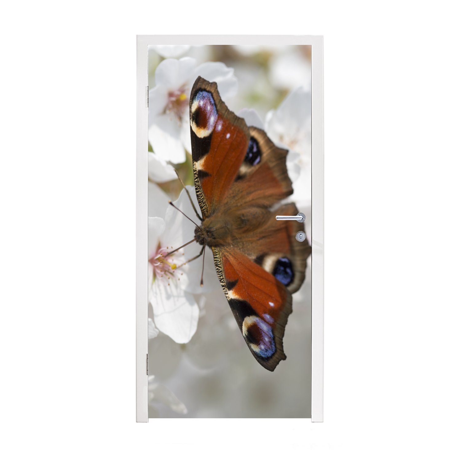 MuchoWow Türtapete Tagpfauenauge Schmetterling auf Kirschblüte, Matt, bedruckt, (1 St), Fototapete für Tür, Türaufkleber, 75x205 cm