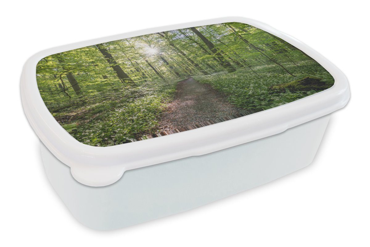 MuchoWow Lunchbox Buchen mit Waldweg, Kunststoff, (2-tlg), Brotbox für Kinder und Erwachsene, Brotdose, für Jungs und Mädchen weiß