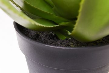 Kunstpflanze Kunstpflanze Agave künstlich Sukkulente im schwarzen Topf AGAVO -, VIVANNO, Höhe 48 cm