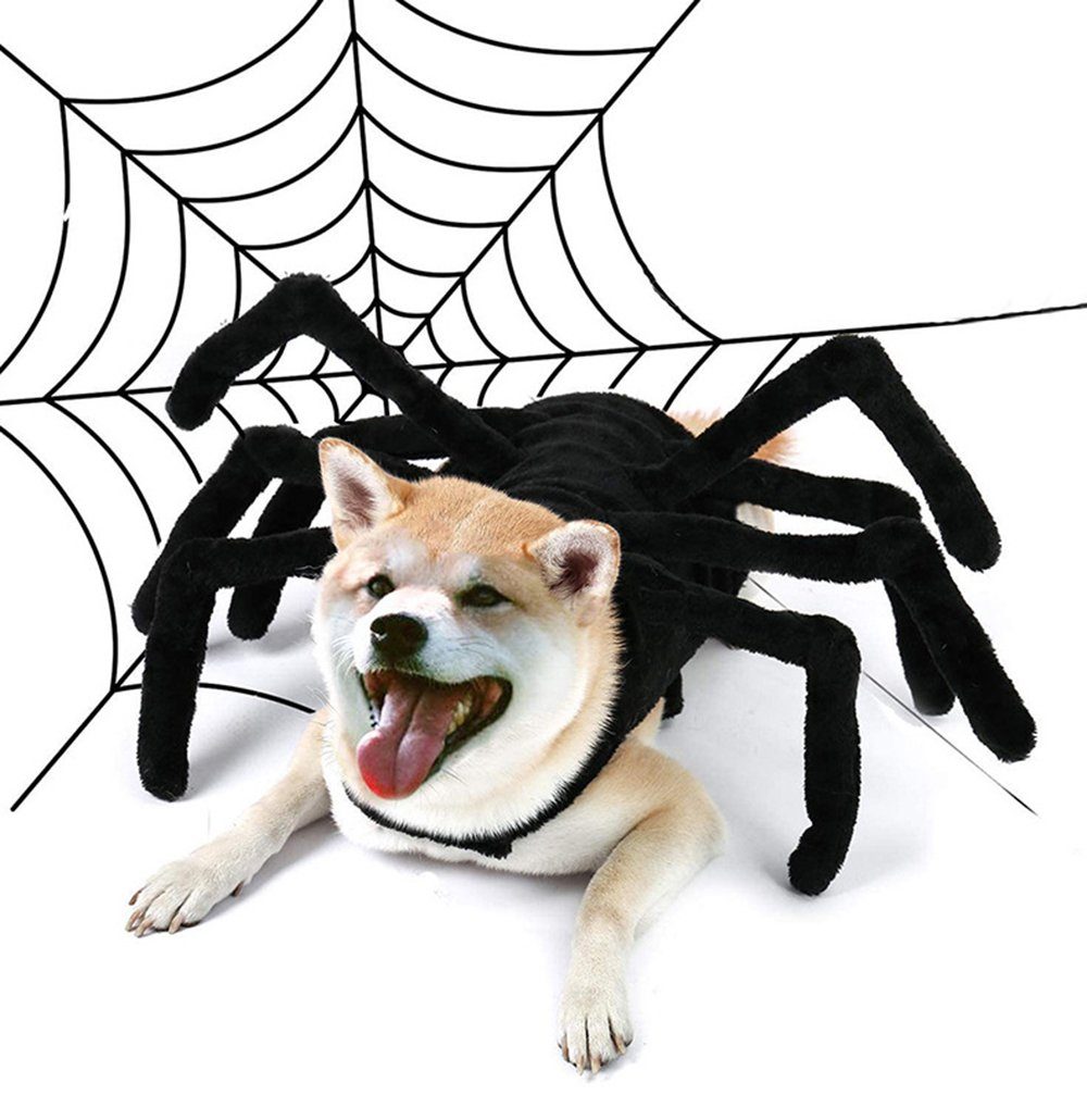 Housruse Kostüm Halloween Spinne Haustier Kostüm, Halloween Party Haustier  Kleidung, Hundekostüm Halloween Kostüm, Schwarze Haustier Spinne Kleidung,  Spinnen Hundekostüm, für kleine Hunde Katze Dekoration