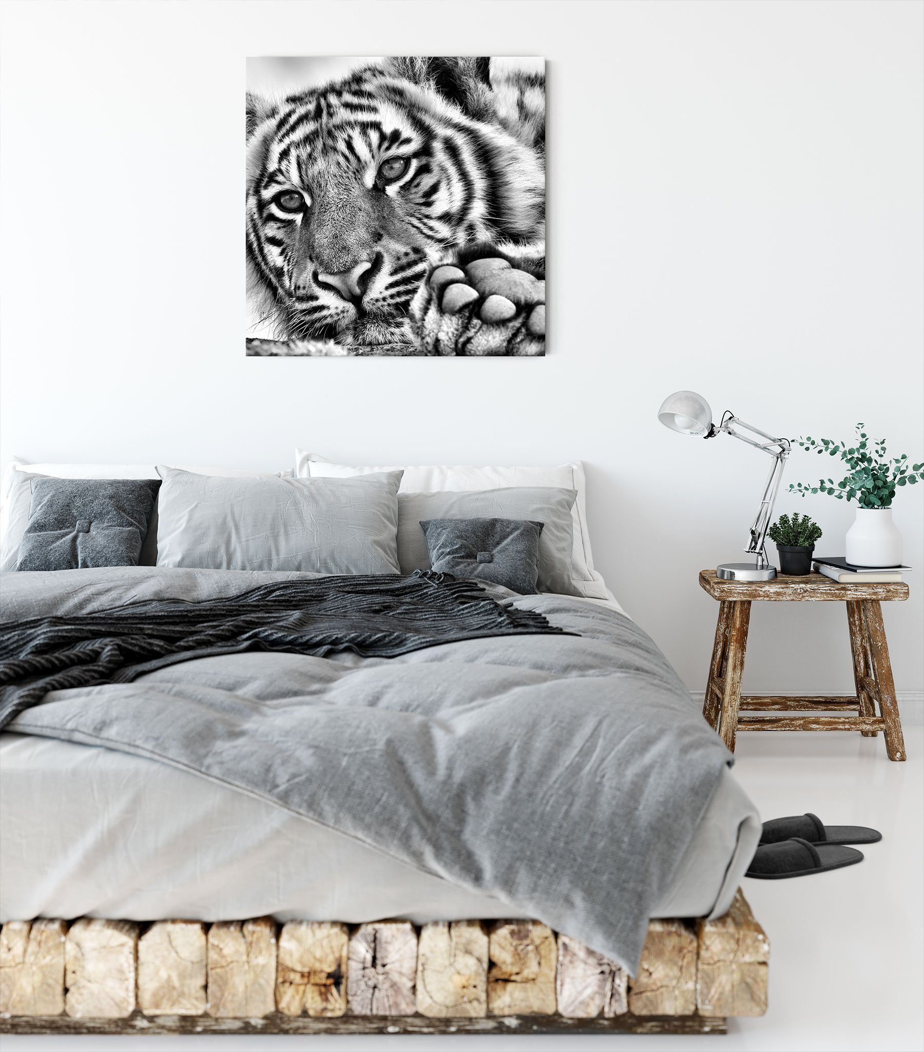 Leinwandbild St), Tiger Leinwandbild (1 fertig bespannt, Zackenaufhänger Tiger, inkl. Pixxprint