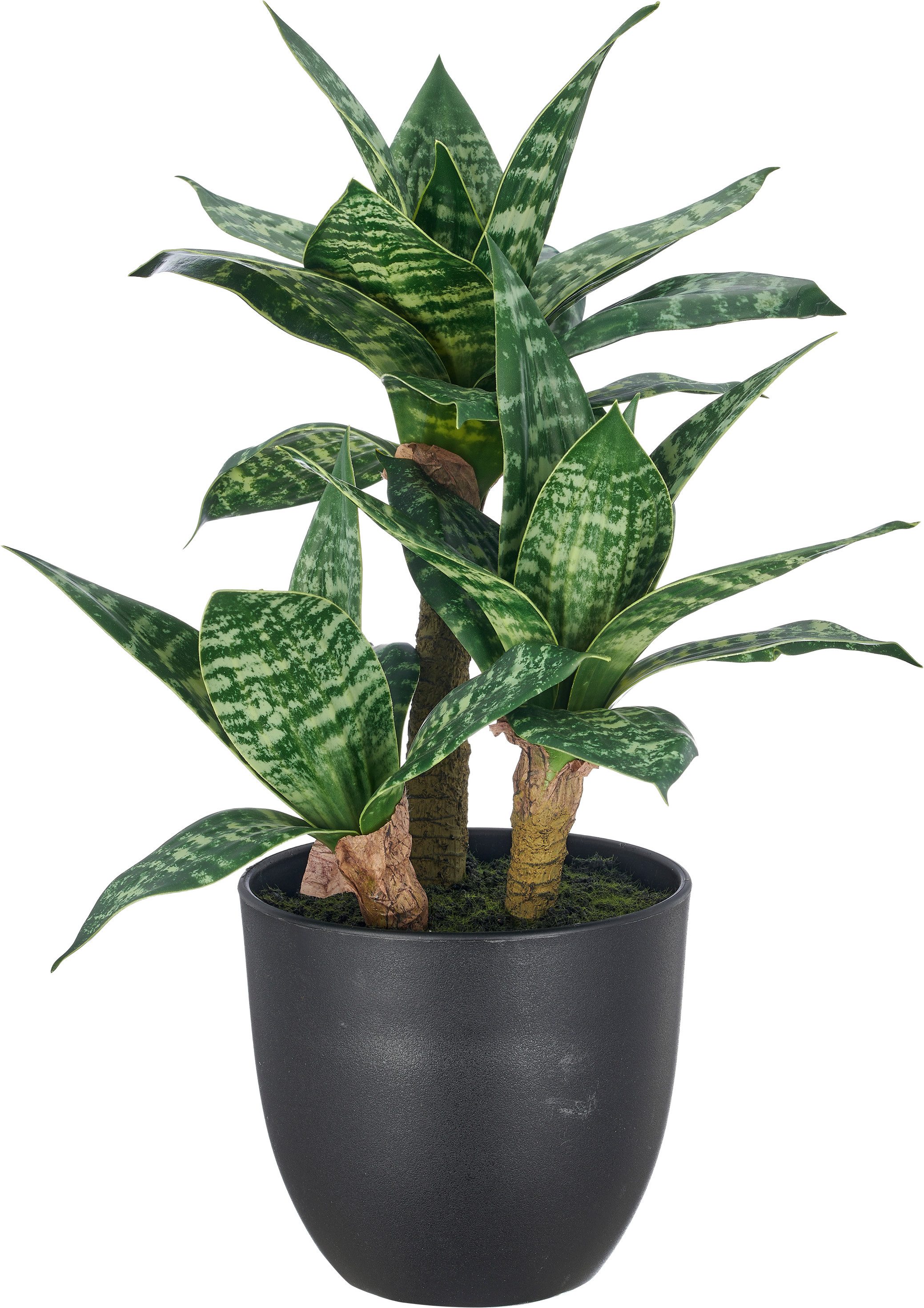 Künstliche Zimmerpflanze Sansevieria Laurentii, Creativ green, Höhe 40 cm, mit wunderschöner Blattzeichnung