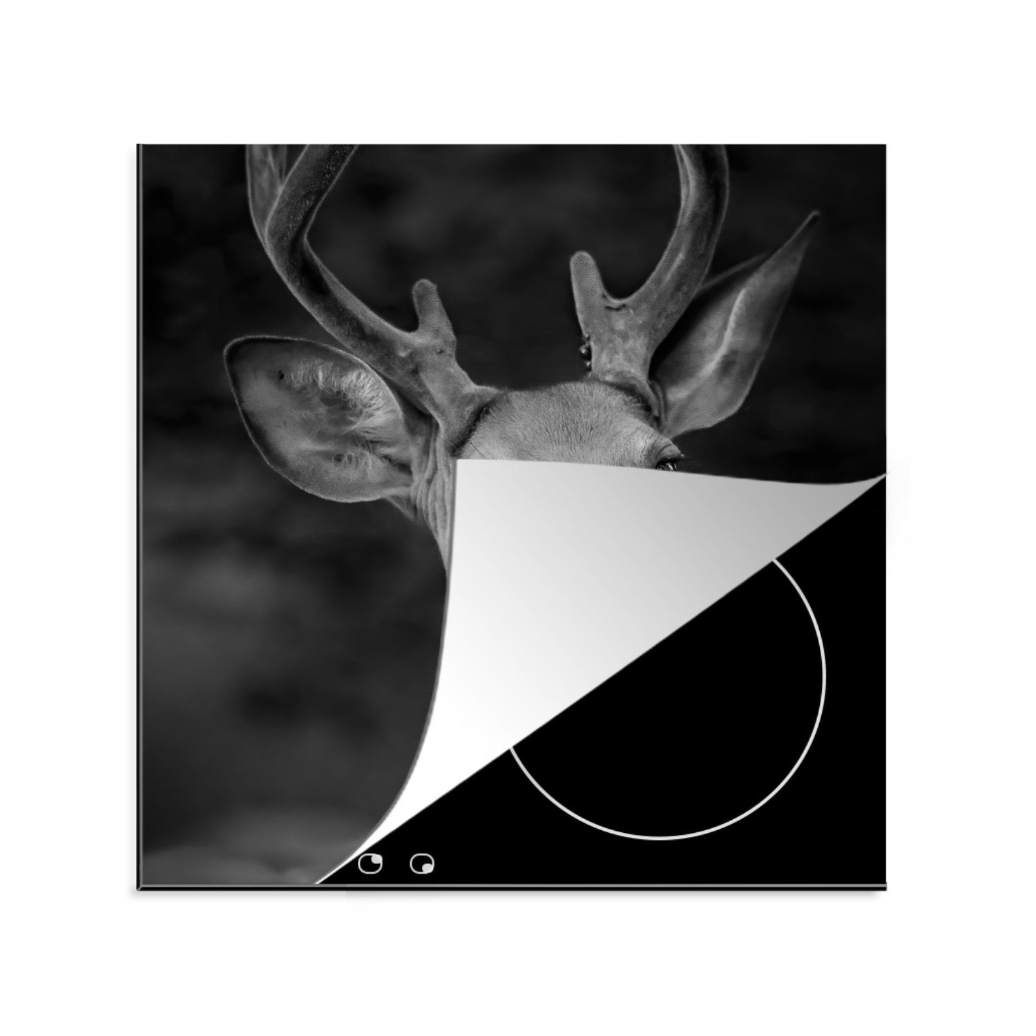 MuchoWow Herdblende-/Abdeckplatte Tierprofil Hirsche in schwarz und weiß, Vinyl, (1 tlg), 78x78 cm, Ceranfeldabdeckung, Arbeitsplatte für küche