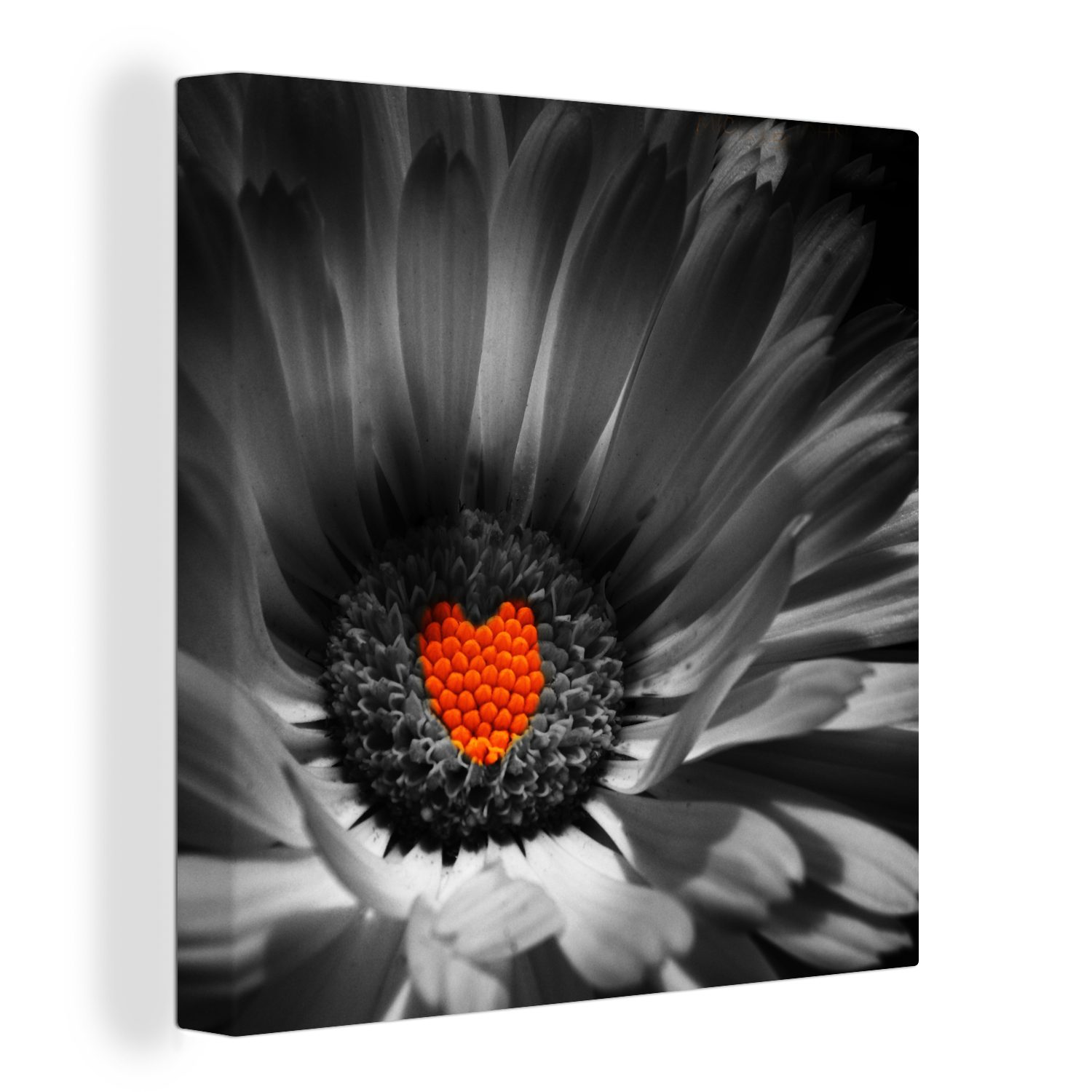 OneMillionCanvasses® (1 Herz, St), Bilder Schlafzimmer Leinwandbild für einer Wohnzimmer einem Ringelblume mit roten Leinwand Schwarz-Weiß-Foto