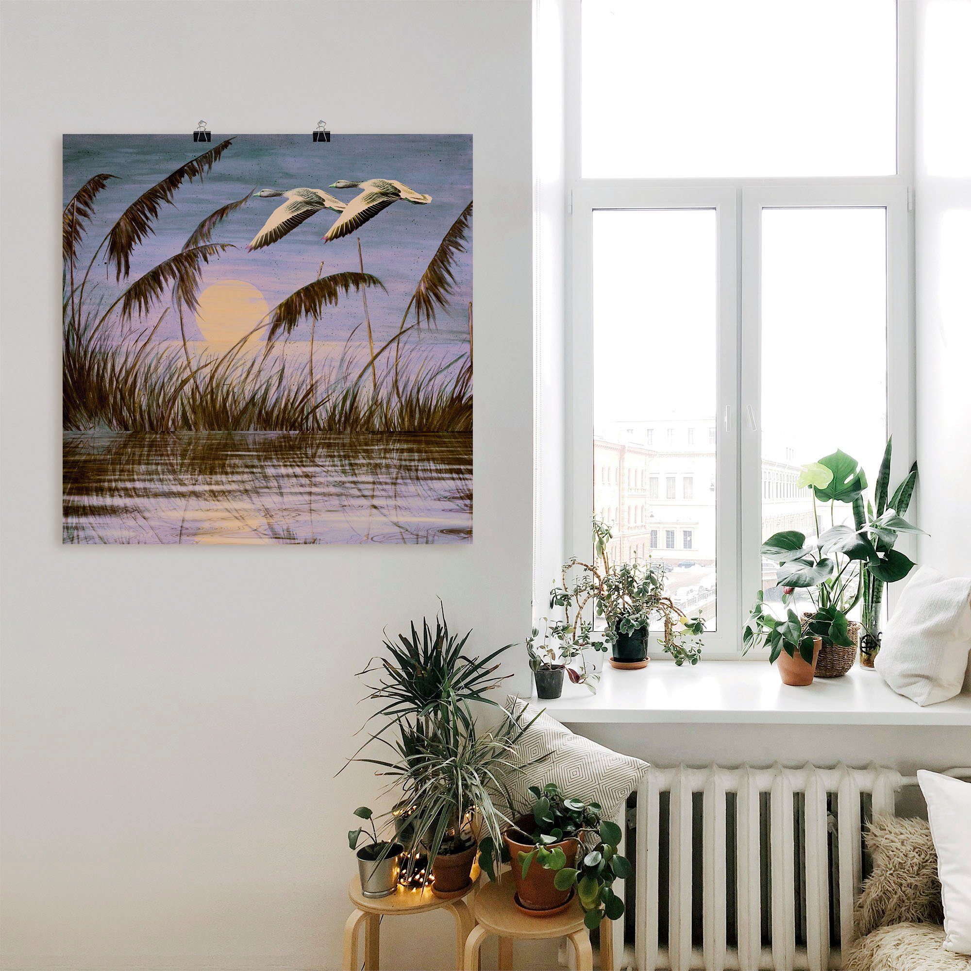 Artland Vögel Wandaufkleber als Größen Wildgänse Wandbild oder Leinwandbild, (1 Alubild, St), Abendsonne, Poster in versch. in der