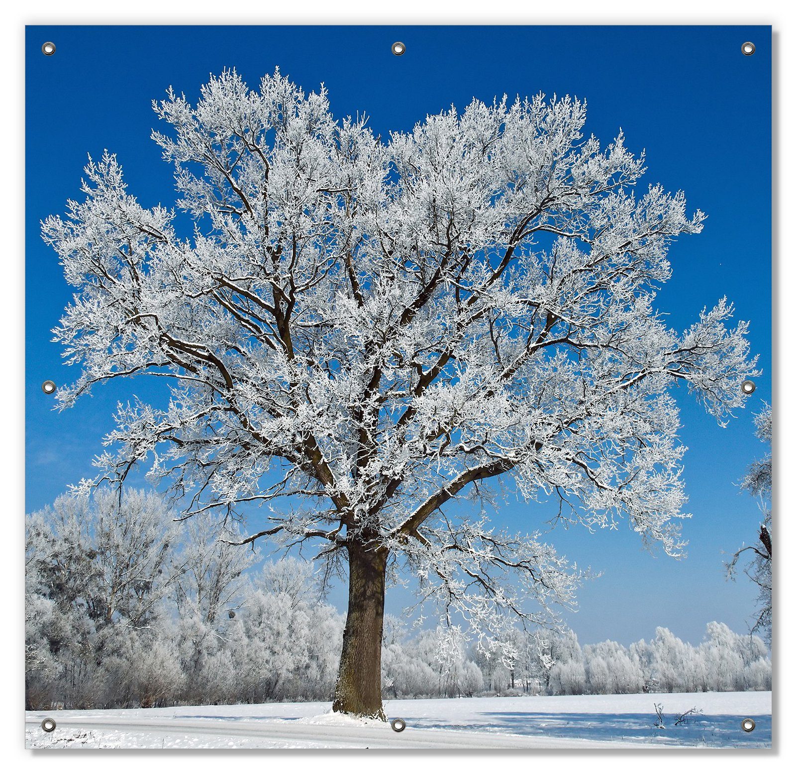 Sonnenschutz Schneebedeckter Baum mit blauen Himmel, Wallario, blickdicht, mit Saugnäpfen, wiederablösbar und wiederverwendbar