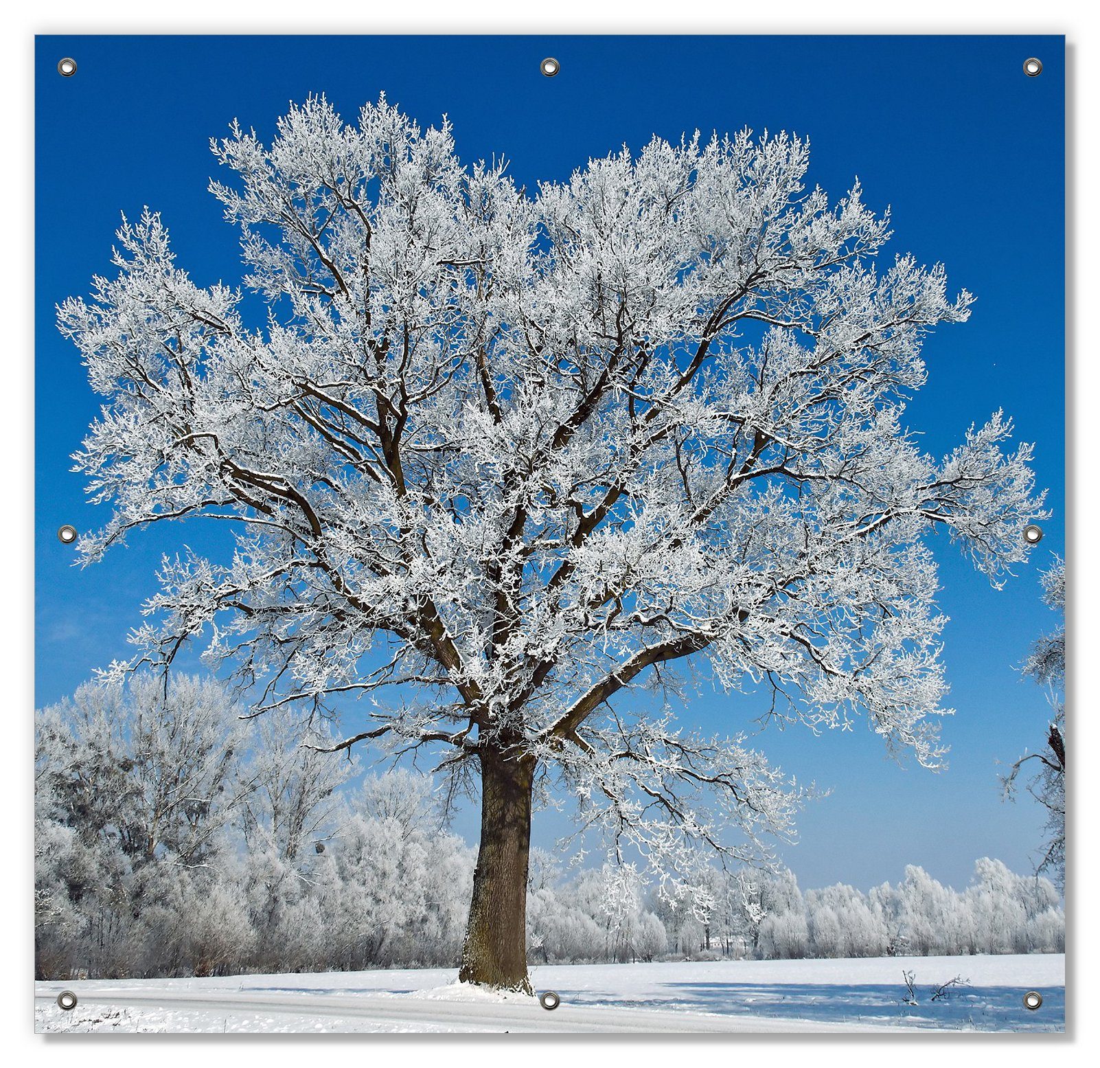 Sonnenschutz Schneebedeckter Baum mit wiederverwendbar Saugnäpfen, Wallario, und mit Himmel, blauen wiederablösbar blickdicht