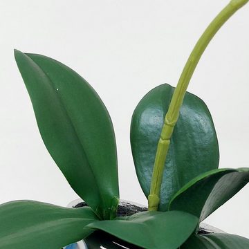 Kunstpflanze, DPI, Höhe 38 cm, Weiß L:13cm B:7cm H:38cm Kunststoff