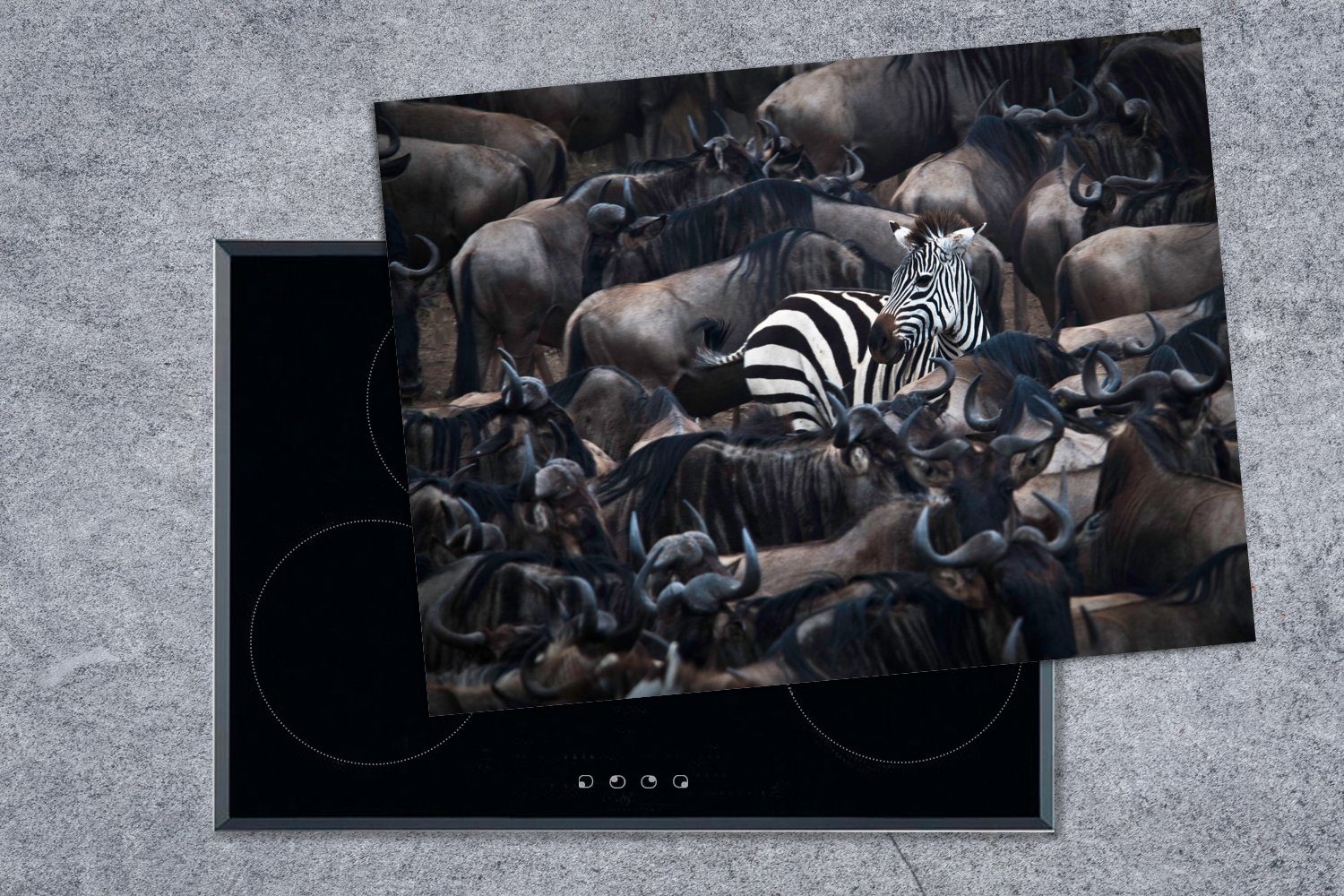 MuchoWow Herdblende-/Abdeckplatte Zebra - Tiere nutzbar, Vinyl, tlg), Arbeitsfläche (1 Mobile - 70x52 Nahaufnahme, cm, Ceranfeldabdeckung