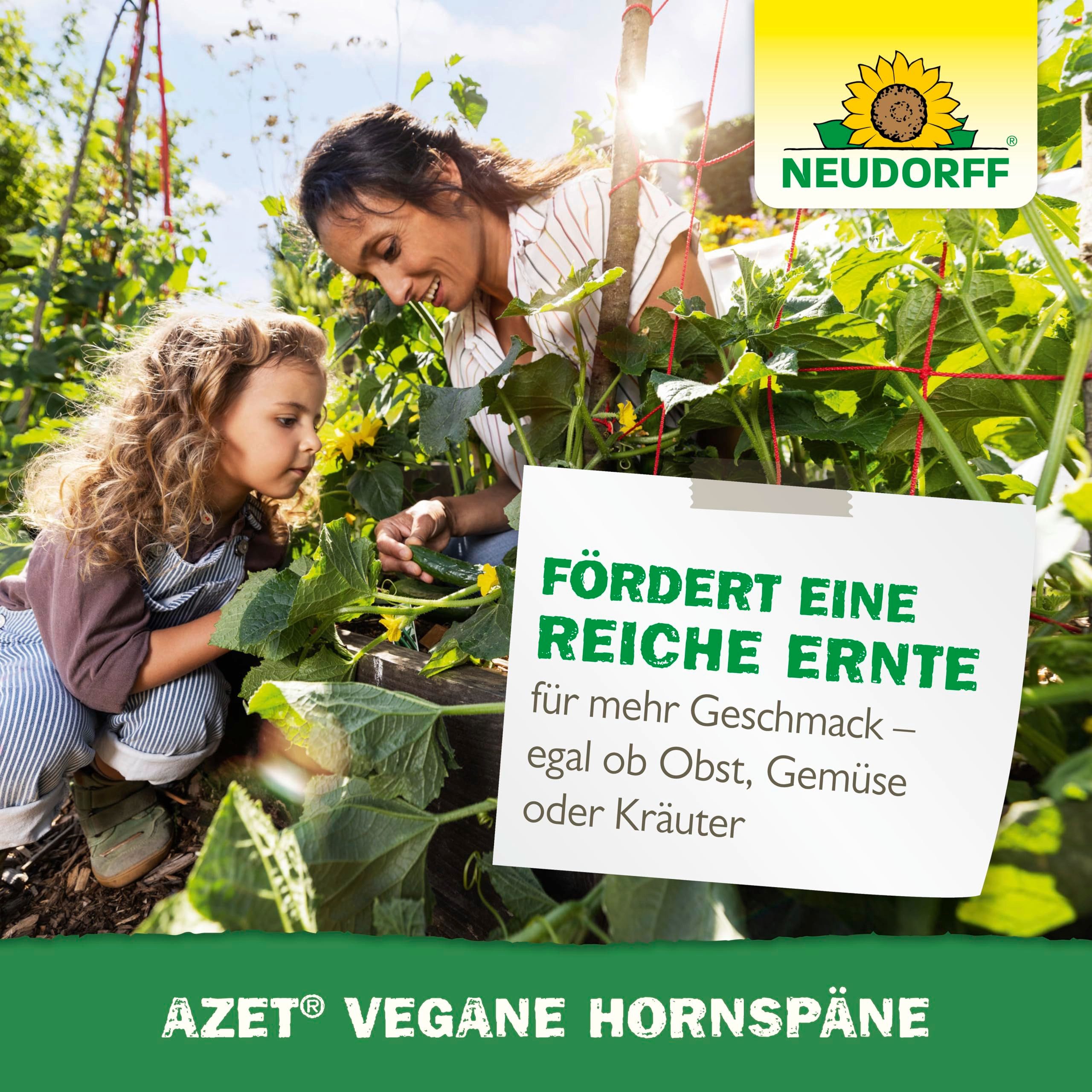 Neudorff Langzeitdünger Azet Vegane Hornspäne 2,5 kg, Bis zu 5 Monate Langzeitwirkung für kräftiges Wachstum, Vegane Hornspäne auf Pflanzenbasis für bis zu 25 m – Bild 2 von 2