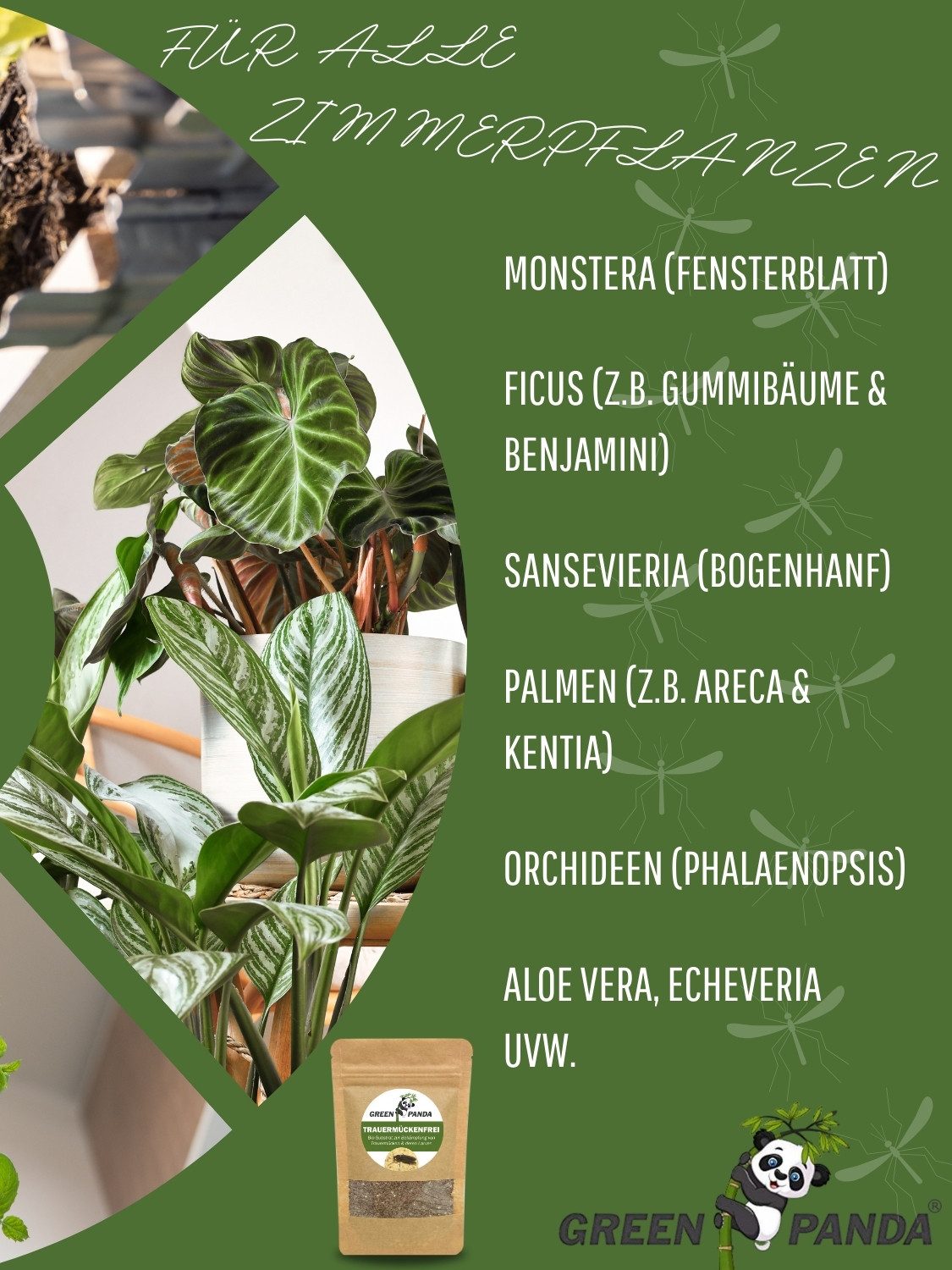 GreenPanda Insektenspray Trauermückenfrei - Pflanzenschutzmittel für Drinnen & Draußen, 40 g, 1-St., 100% pflanzlich! – Bild 4 von 5