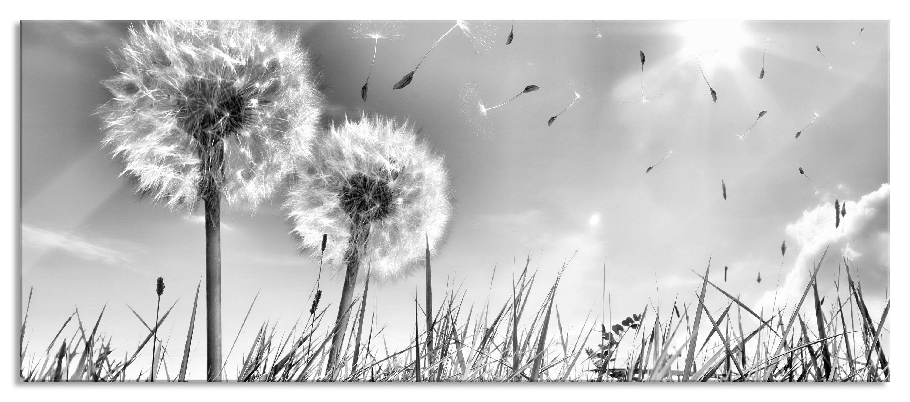 Pixxprint Glasbild Pusteblumen auf Frühlingswiese, Pusteblumen auf Frühlingswiese (1 St), Glasbild aus Echtglas, inkl. Aufhängungen und Abstandshalter