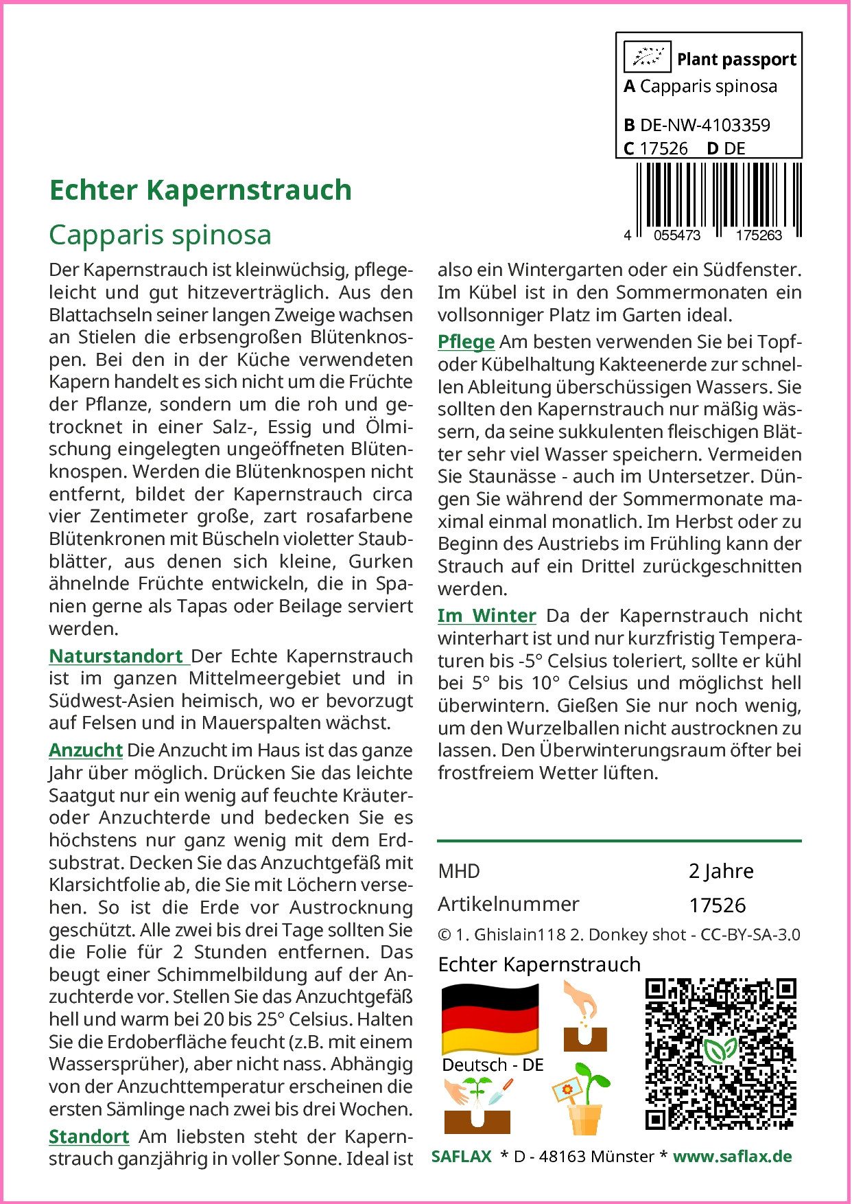 SAFLAX Kräutersamen SAFLAX - Samen - Echter Kapernstrauch – Bild 2 von 5