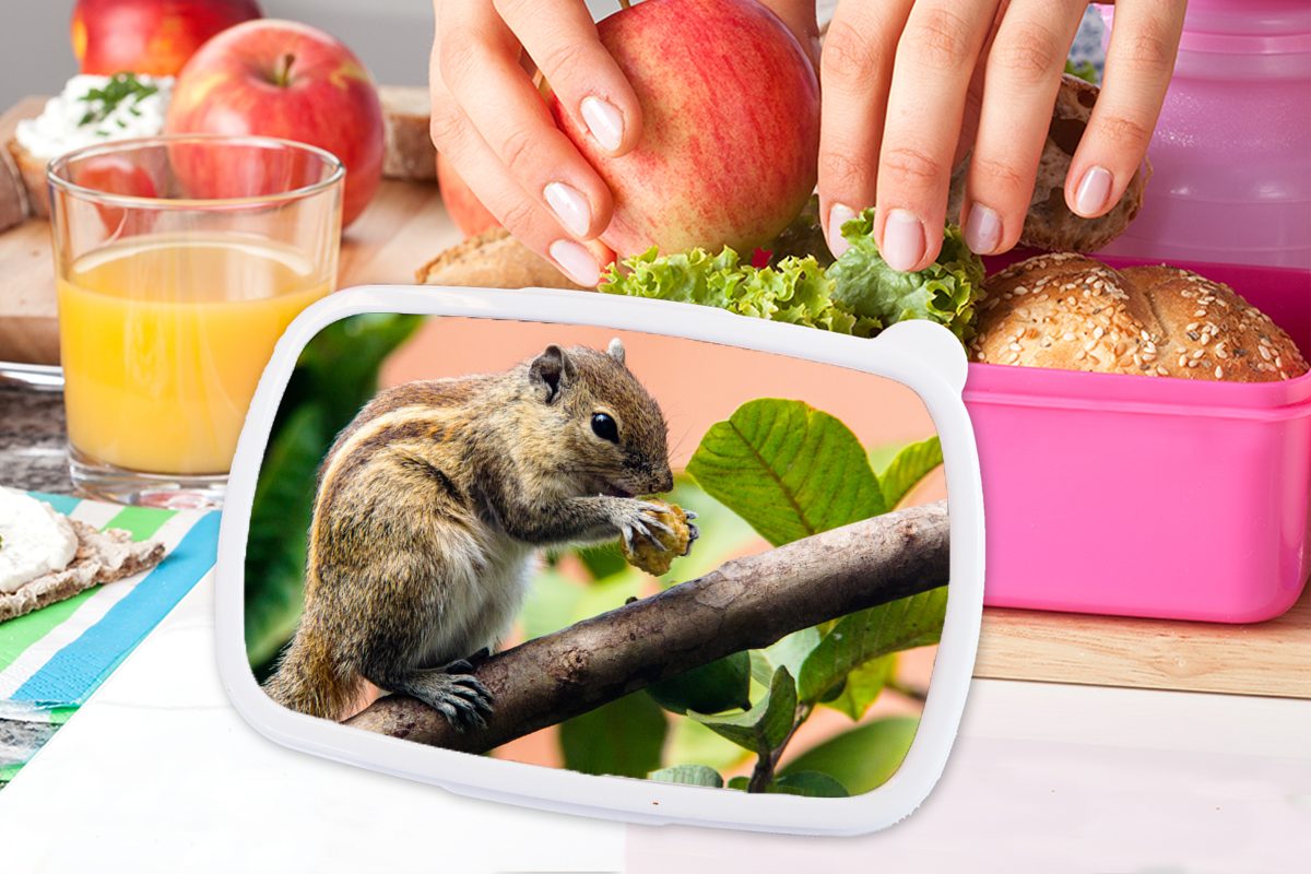 Kunststoff, Lunchbox Brotdose Snackbox, Kunststoff gestreiftes Erwachsene, Mädchen, Eichhörnchen, (2-tlg), für MuchoWow rosa Braun Kinder, Brotbox