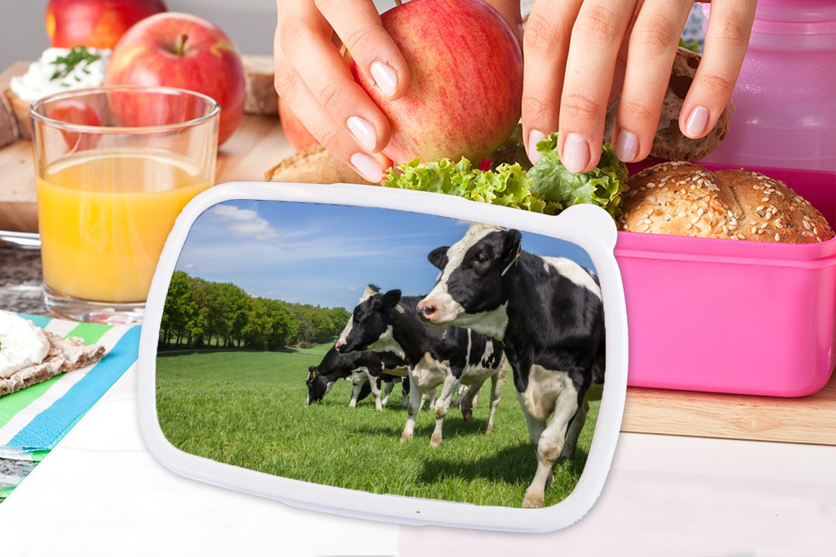 (2-tlg), Kinder, Lunchbox Kunststoff rosa Brotbox Snackbox, Erwachsene, - Kunststoff, MuchoWow Gras Wiese, - Mädchen, Brotdose Kuh für