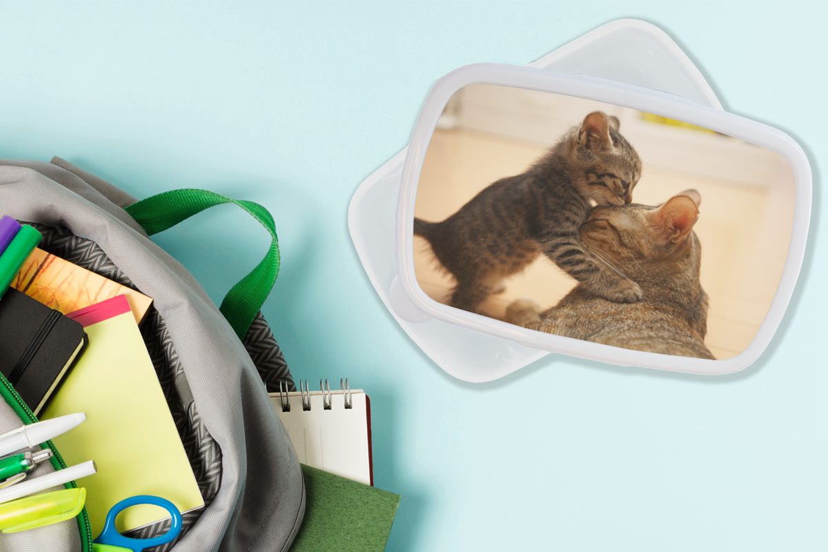 MuchoWow Lunchbox Ein Kätzchen mit Kunststoff, Erwachsene, und und Brotbox Jungs weiß für seiner für Brotdose, Mutter, (2-tlg), Kinder Mädchen