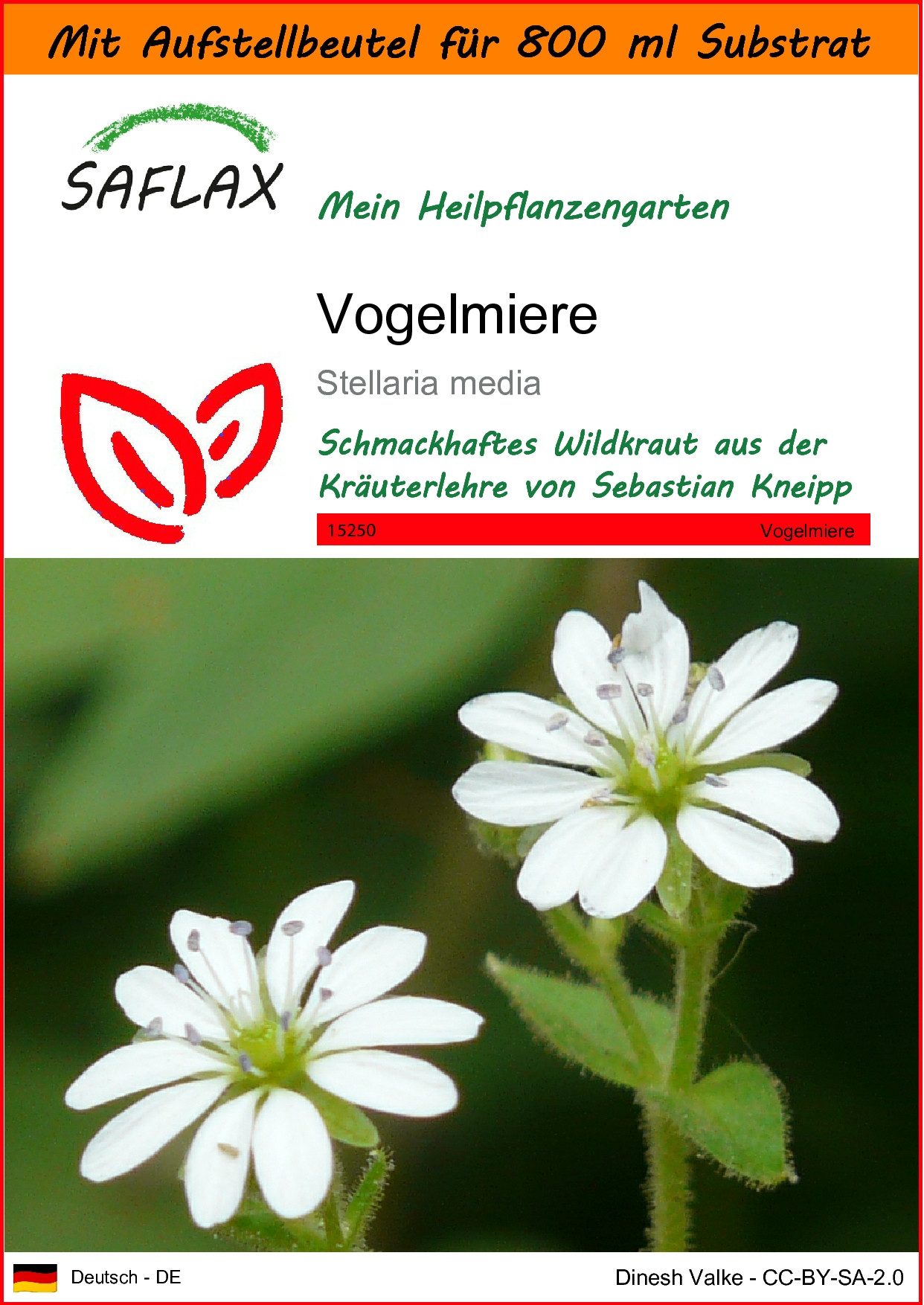 SAFLAX Blumensamen SAFLAX - Garden in the bag - Vogelmiere