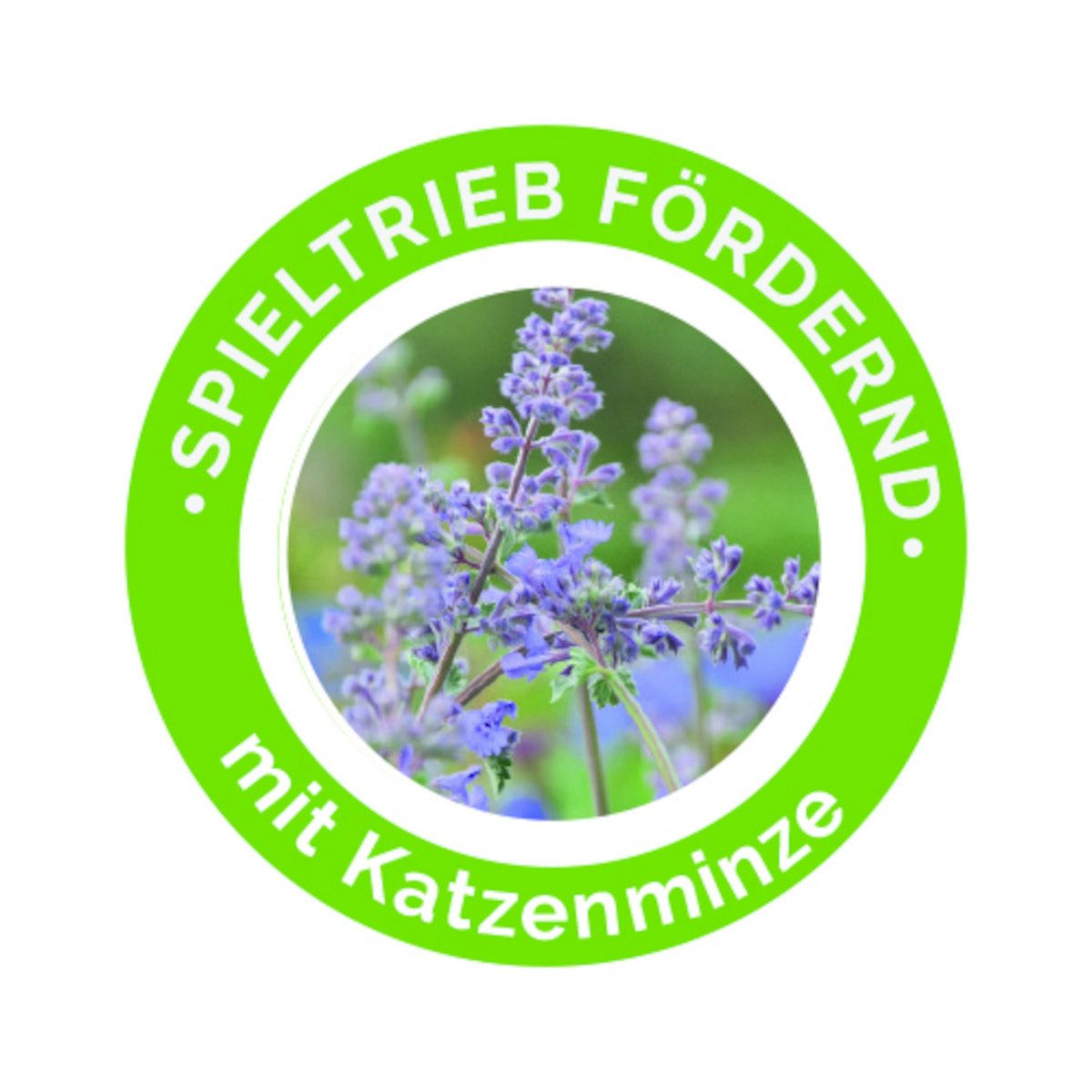 Aumüller Tierkuscheltier Frische Katzenminze zum Befüllen von Katzenspielze günstig online kaufen