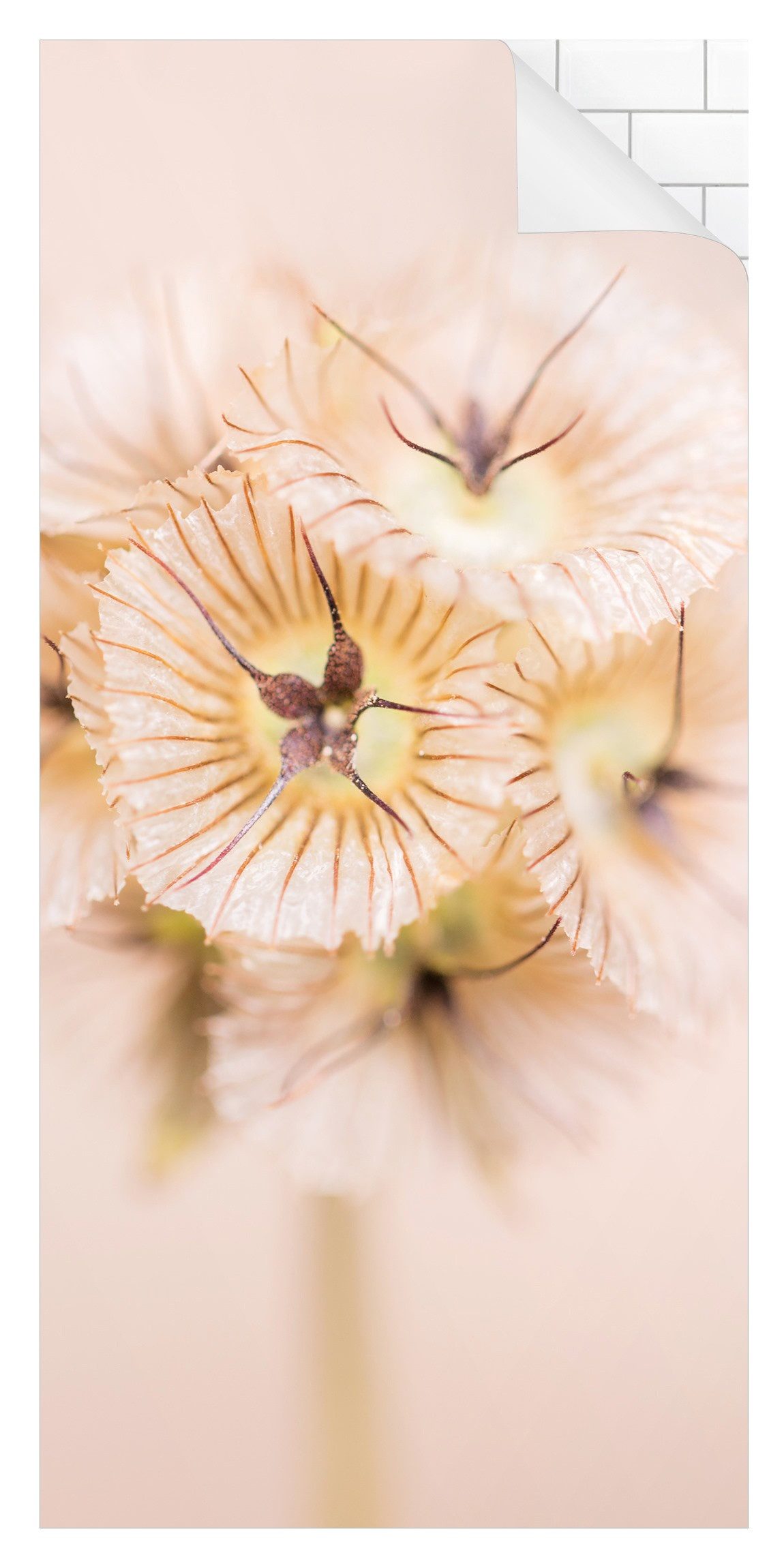 Bilderdepot24 Duschrückwand Blumen pastell Duschrückwand ohne Bohren Dusche Landhaus, (1-tlg., 0,61 mm starke Folie selbstklebend Wandpaneele Dusche versch. Größen), fugenlose & wasserfeste Motiv Rückwand Wandverkleidung für Duschkabine