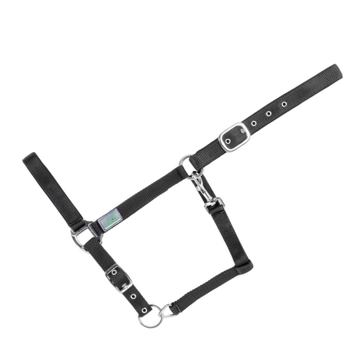 USG Halfter Halfter Pferd Vollblut cob gepolstert verschiedene Farben, Nylon, Metall, gepolstert