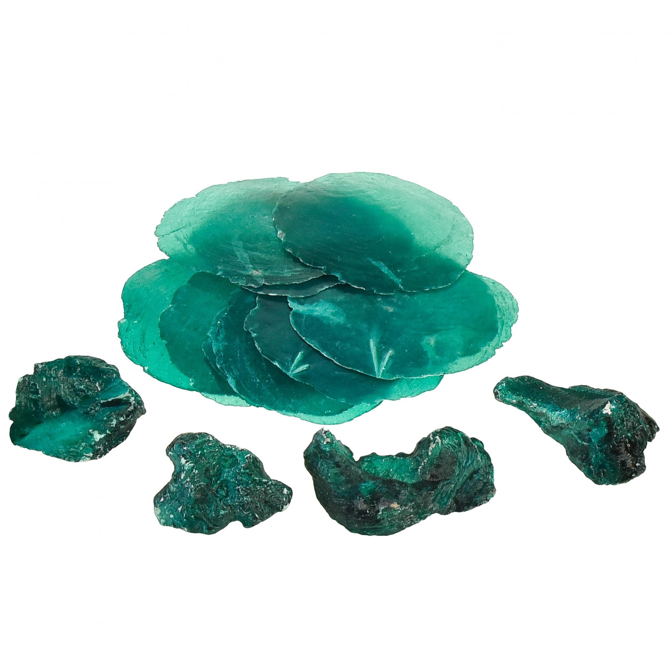 Bastelnaturmaterial Austern Muscheln Capizscheiben Türkis Deko-Netz 3,5–9,5cm