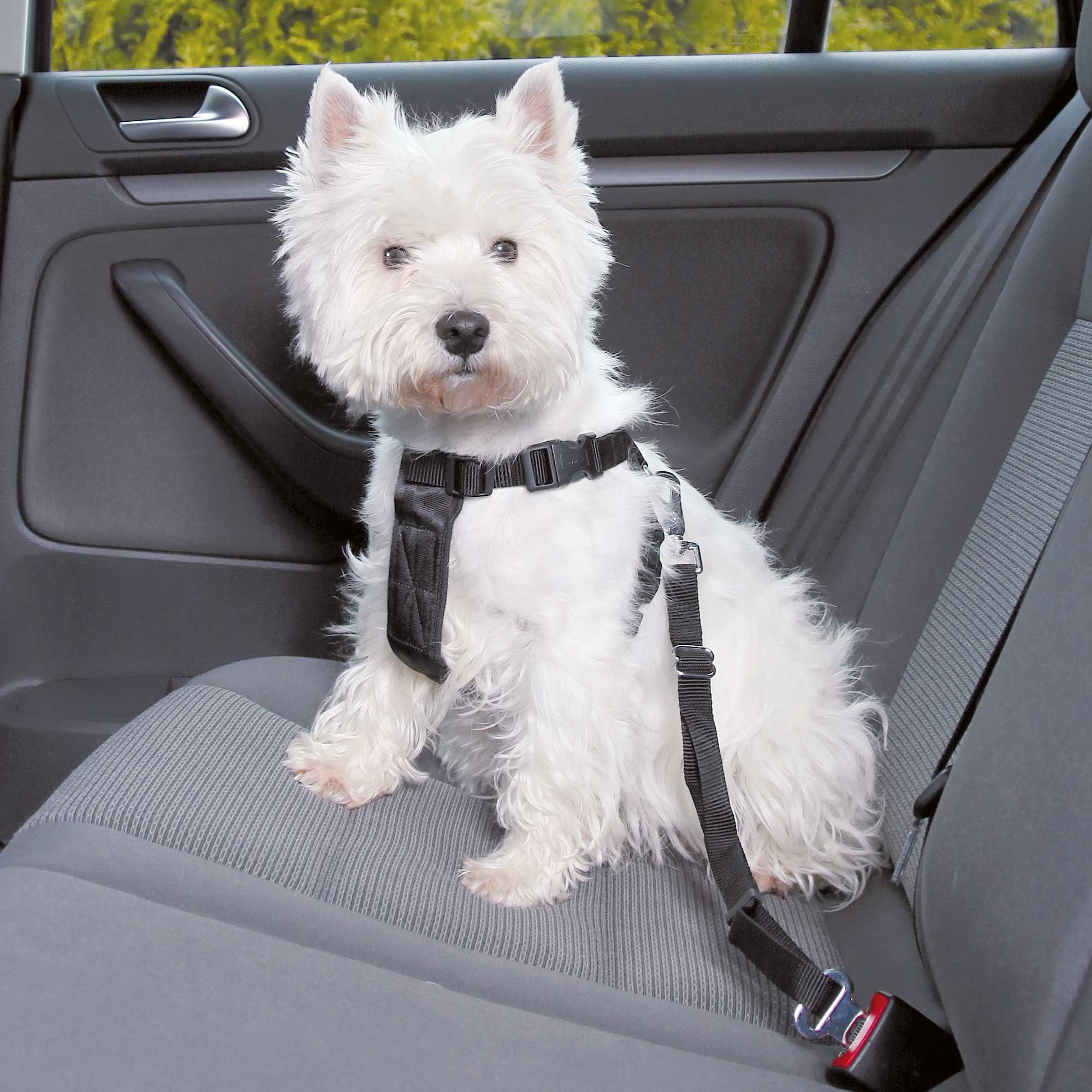 TRIXIE Hunde-Sicherheitsgeschirr DOGGURT Sicherheitsgurt fürs Auto günstig online kaufen
