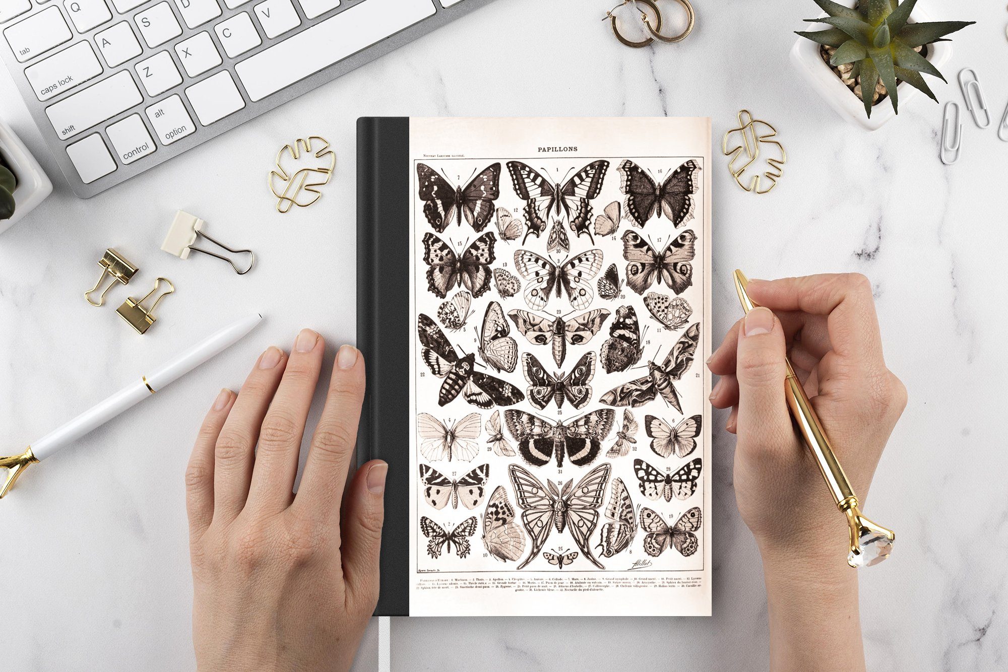 Schwarz Notizheft, Notizbuch Merkzettel, A5, Tagebuch, Tiere Journal, Seiten, - MuchoWow Weiß, - Haushaltsbuch 98 - Schmetterling