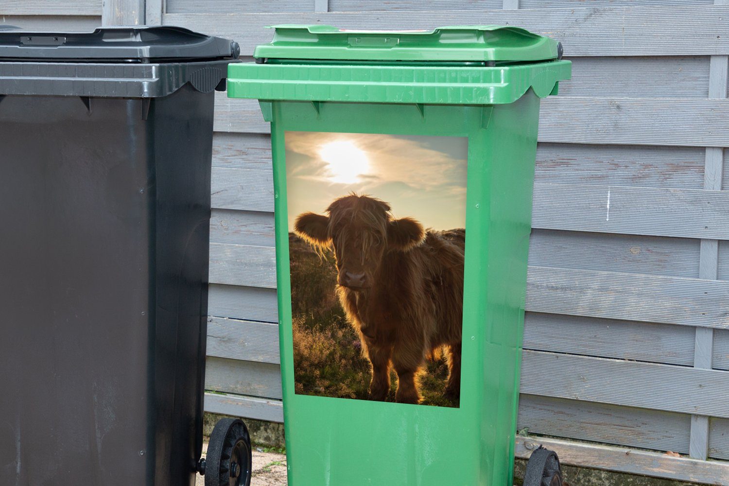MuchoWow Wandsticker Schottischer Highlander - Gras Abfalbehälter Sticker, St), - Container, Mülltonne, (1 Mülleimer-aufkleber, Sonnenuntergang