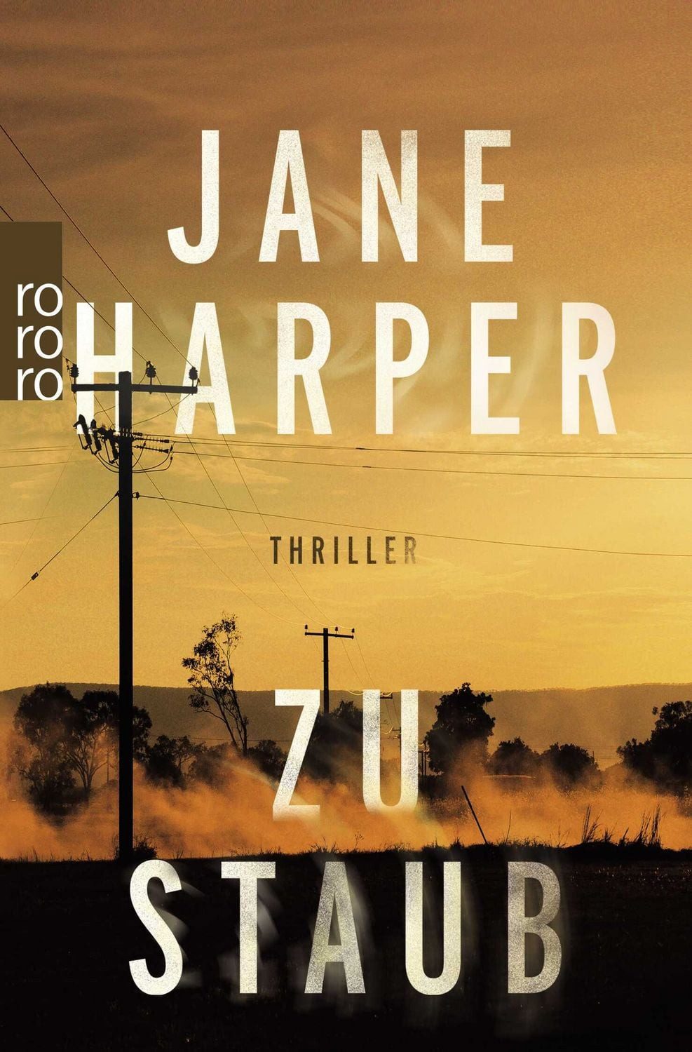 Zu Staub / Jane Harper