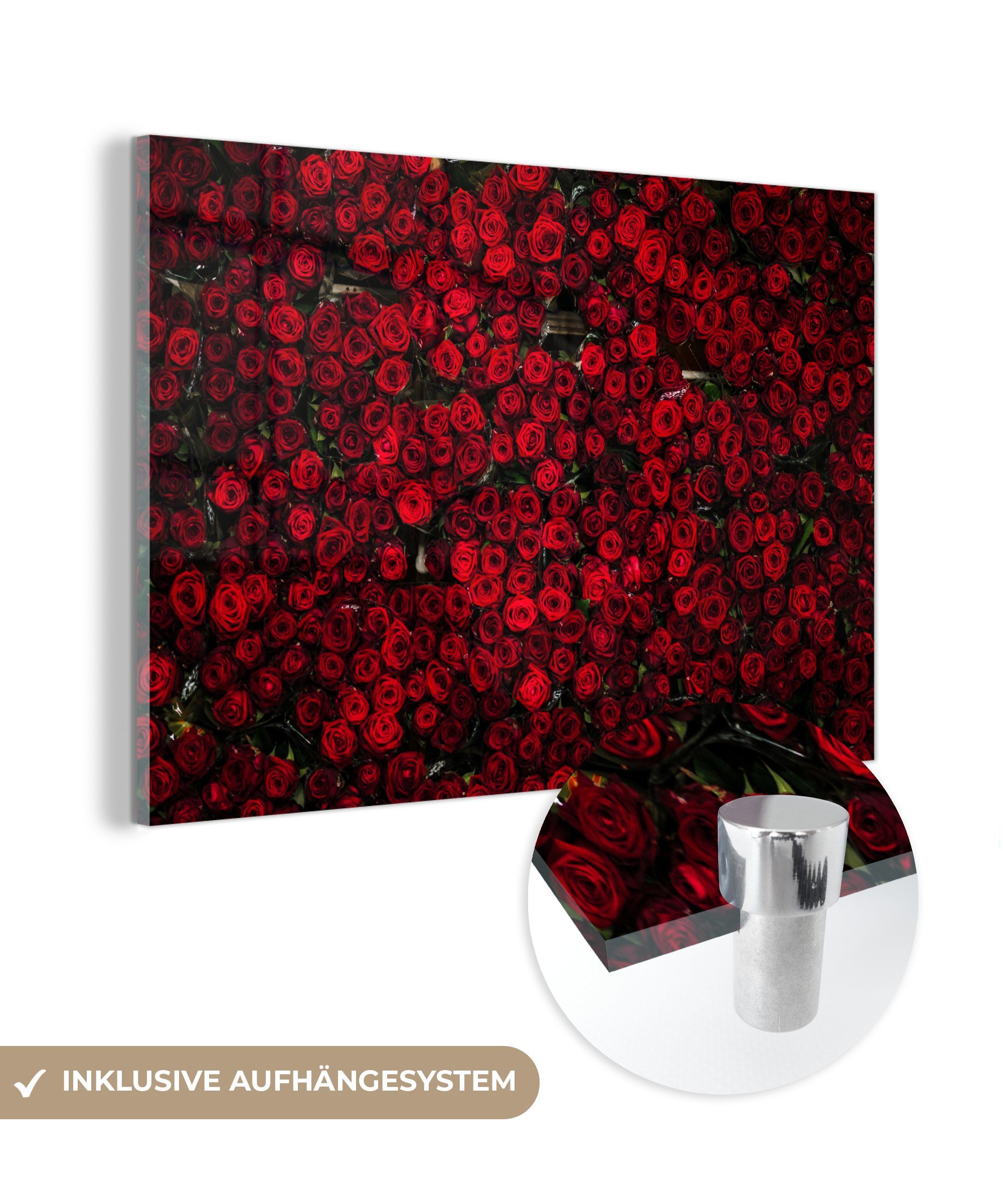 MuchoWow Acrylglasbild Blumen - Rosen - Rot, (1 St), Glasbilder - Bilder auf Glas Wandbild - Foto auf Glas - Wanddekoration