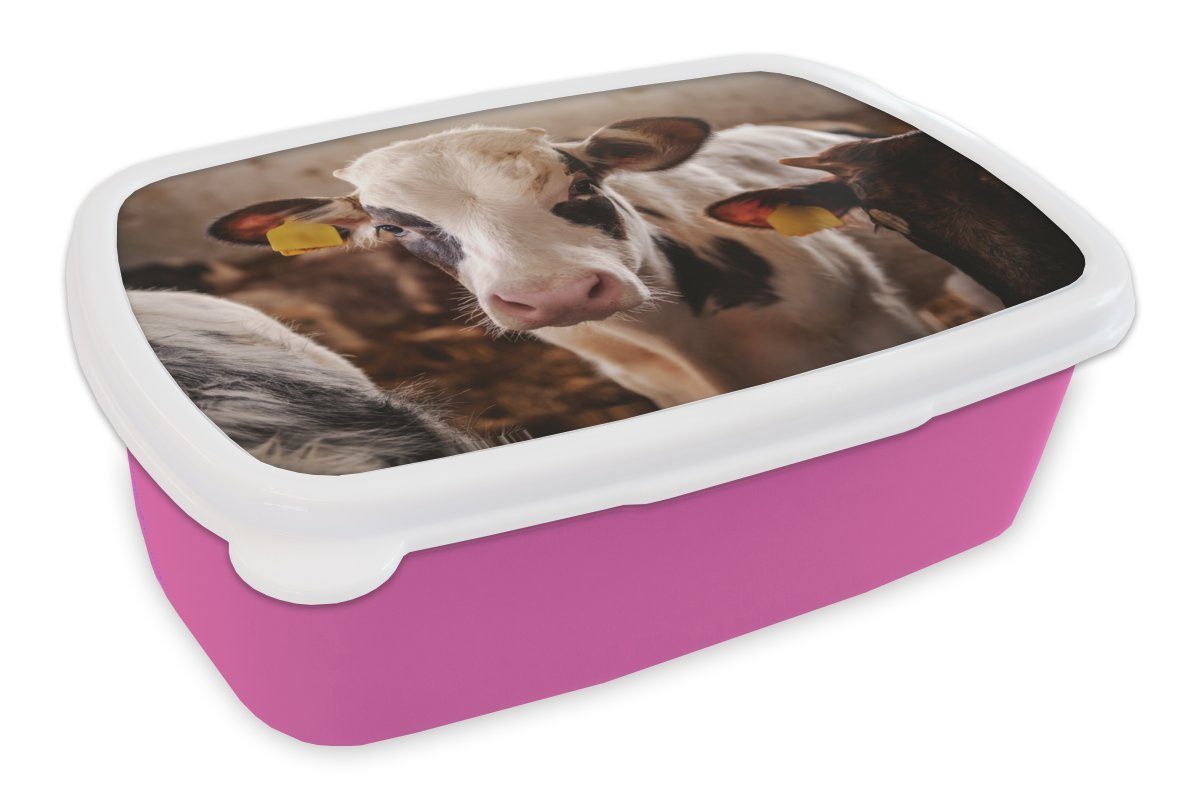 MuchoWow Lunchbox Porträt - Kuh - Stall, Kunststoff, (2-tlg), Brotbox für Erwachsene, Brotdose Kinder, Snackbox, Mädchen, Kunststoff rosa