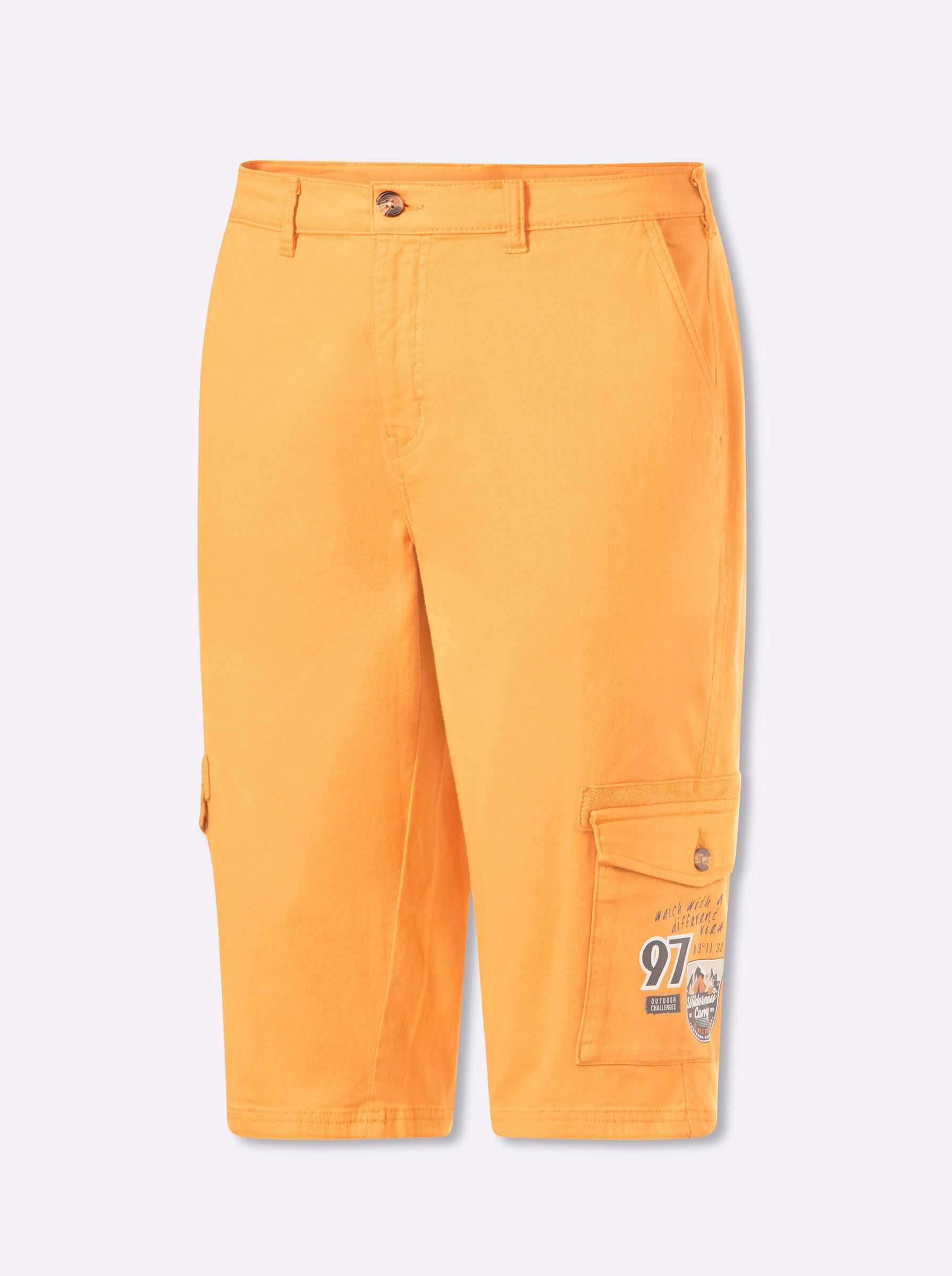 Witt Shorts Bermudas normal