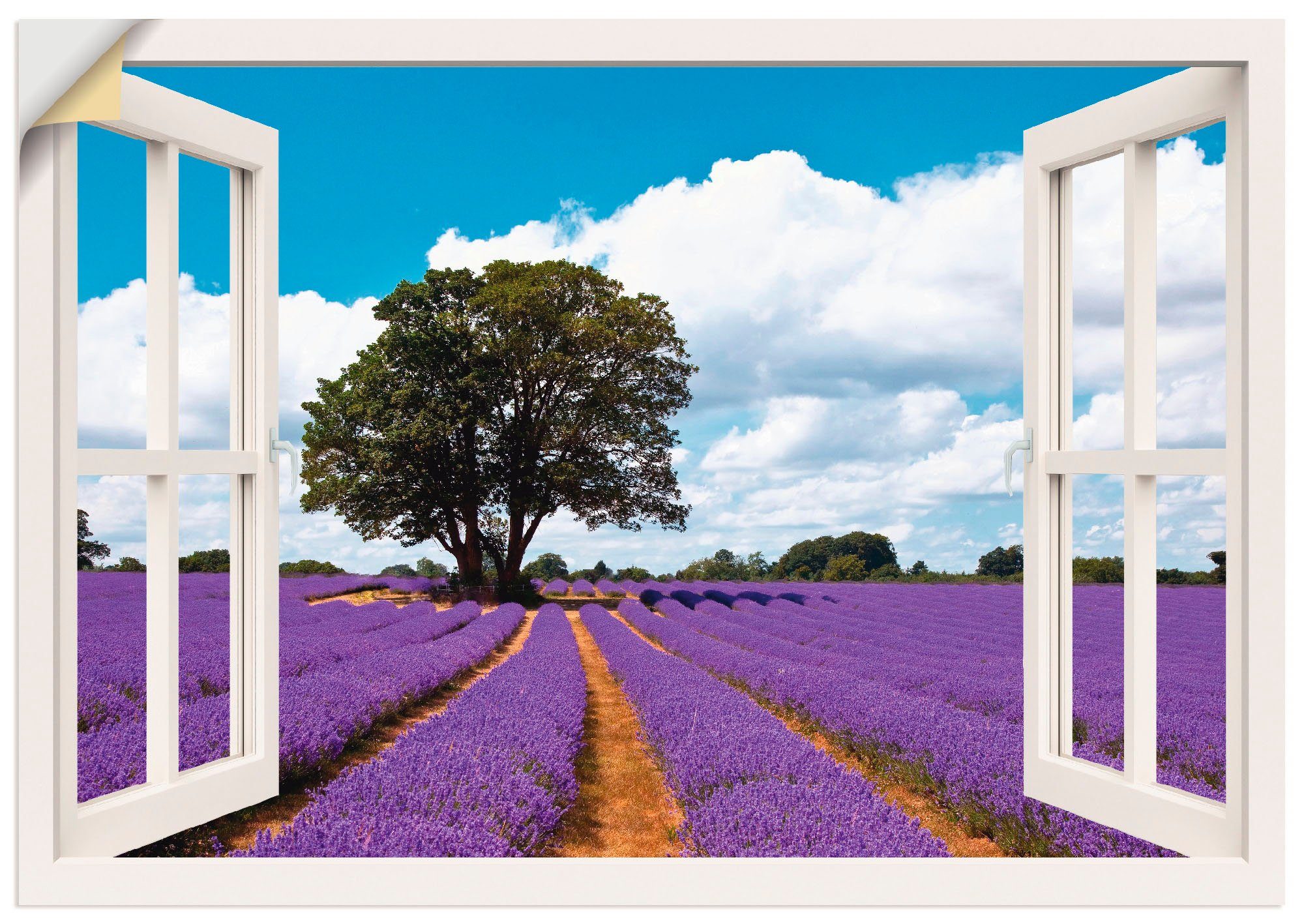 Artland Wandbild Fensterblick Lavendelfeld im Sommer, Fensterblick (1 St), als Leinwandbild, Wandaufkleber oder Poster in versch. Größen