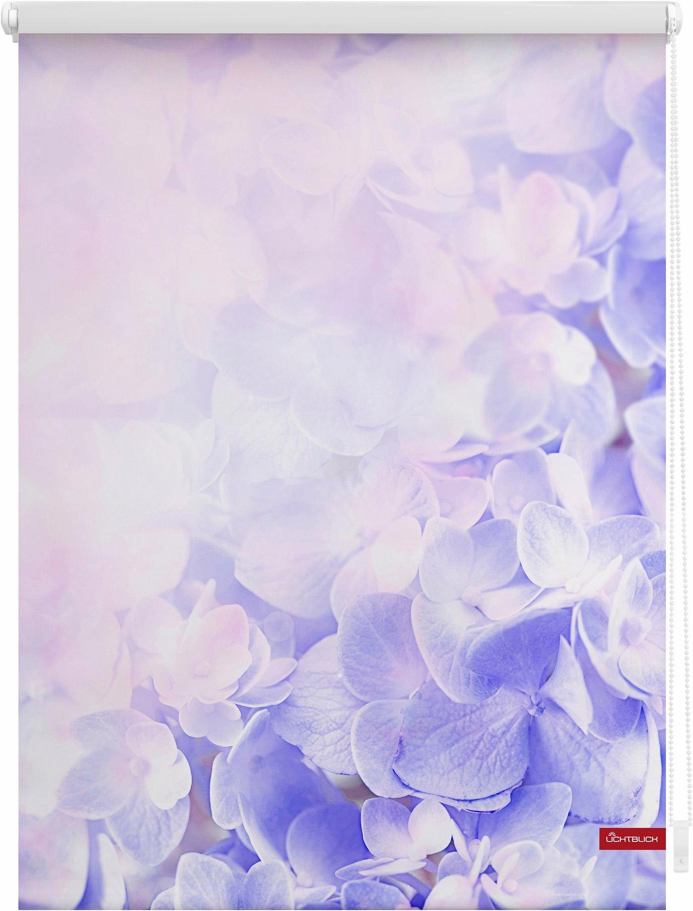 Seitenzugrollo Klemmfix Motiv Hortensie, LICHTBLICK ORIGINAL, günstig online kaufen