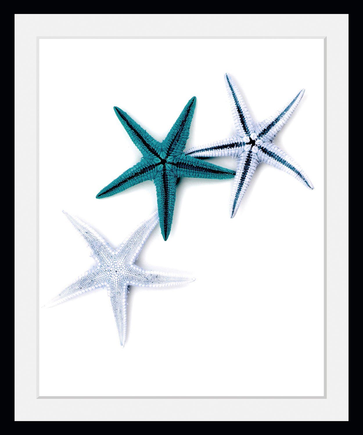 queence Bild Laura, Kunst, Meer, Wassertiere (1 St), HD Premium Poster-Druck inkl. Holzrahmen