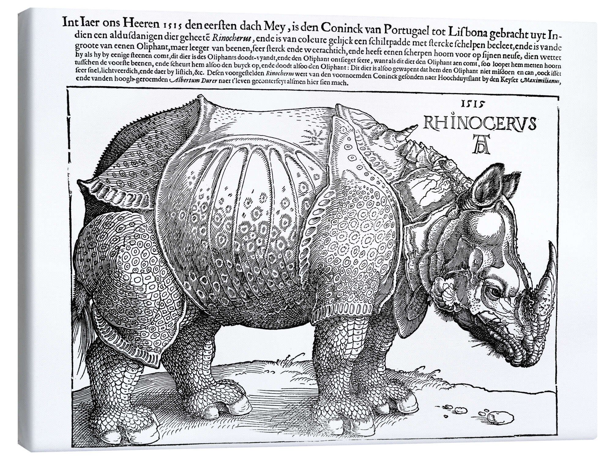 Leinwandbild Albrecht Dürer