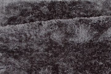 Teppich Natta Teppich 290x200 cm Polyester dunkelgrau., ebuy24, Höhe: 6 mm