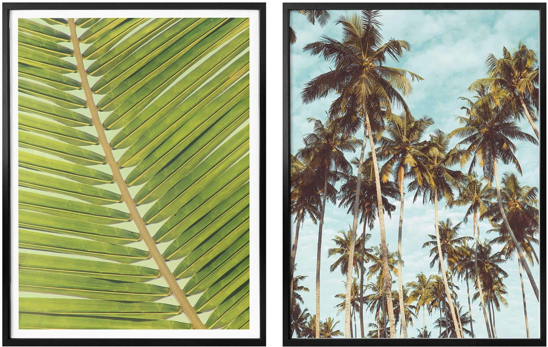 Wall-Art Poster Palmenblätter, (Set, 2 St), mit Rahmen, Poster, Wandbild, Bild, Wandposter