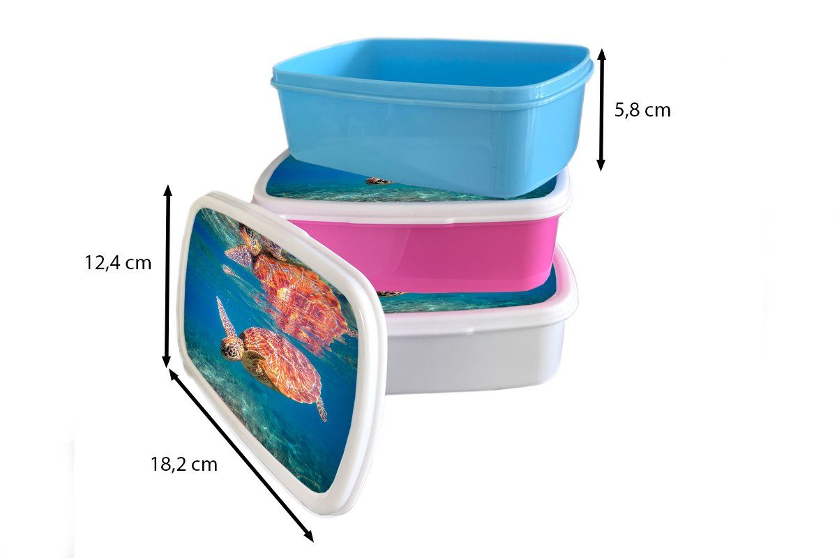 Mädchen für für - Brotbox Jungs Lunchbox Erwachsene, und Kinder Schwimmen Kunststoff, - Brotdose, und Spiegelung, (2-tlg), - Schildkröte weiß Wasser MuchoWow